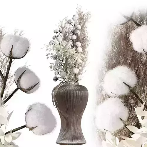Cotton and pampas bouquet  3D model
