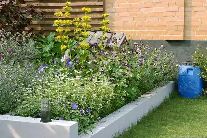 Maxtree Plant Models Vol 136 - Mesh