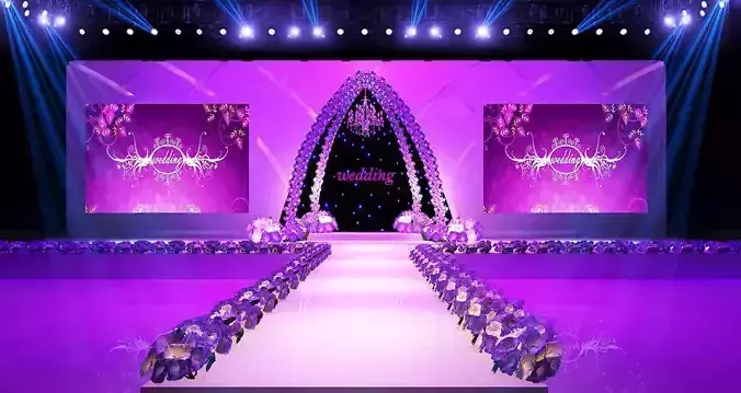 Stage party concert fashion catwalk T station  152