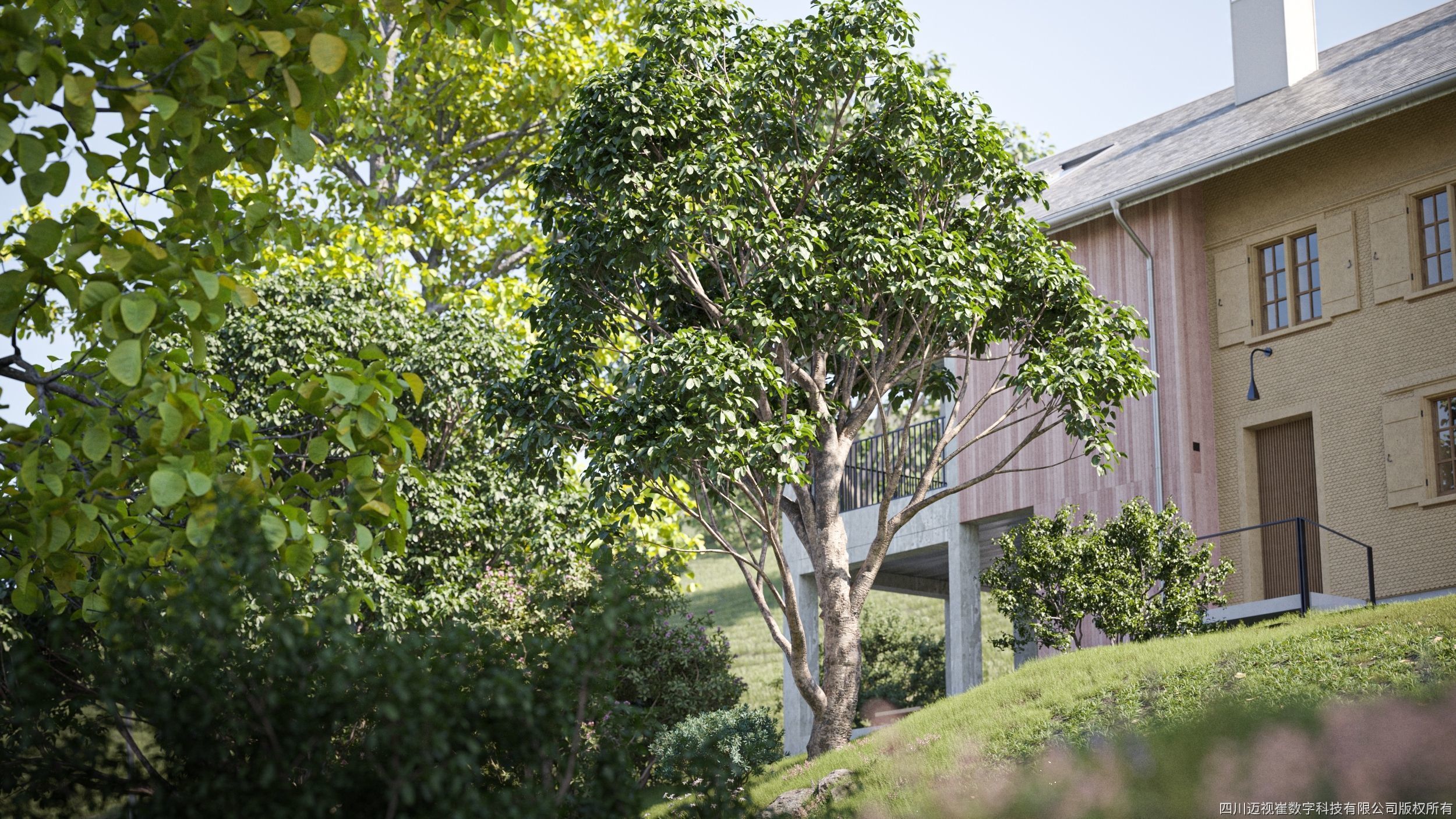 Maxtree Plant Models Vol 137 - Mesh 3D model_2