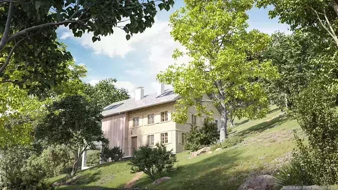 Maxtree Plant Models Vol 137 - Mesh