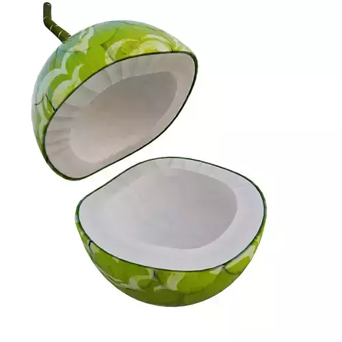 3d model coconut fruit rig blender