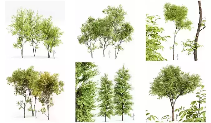 6 Different SETS of Tree SET VOL91 3D Model Collection