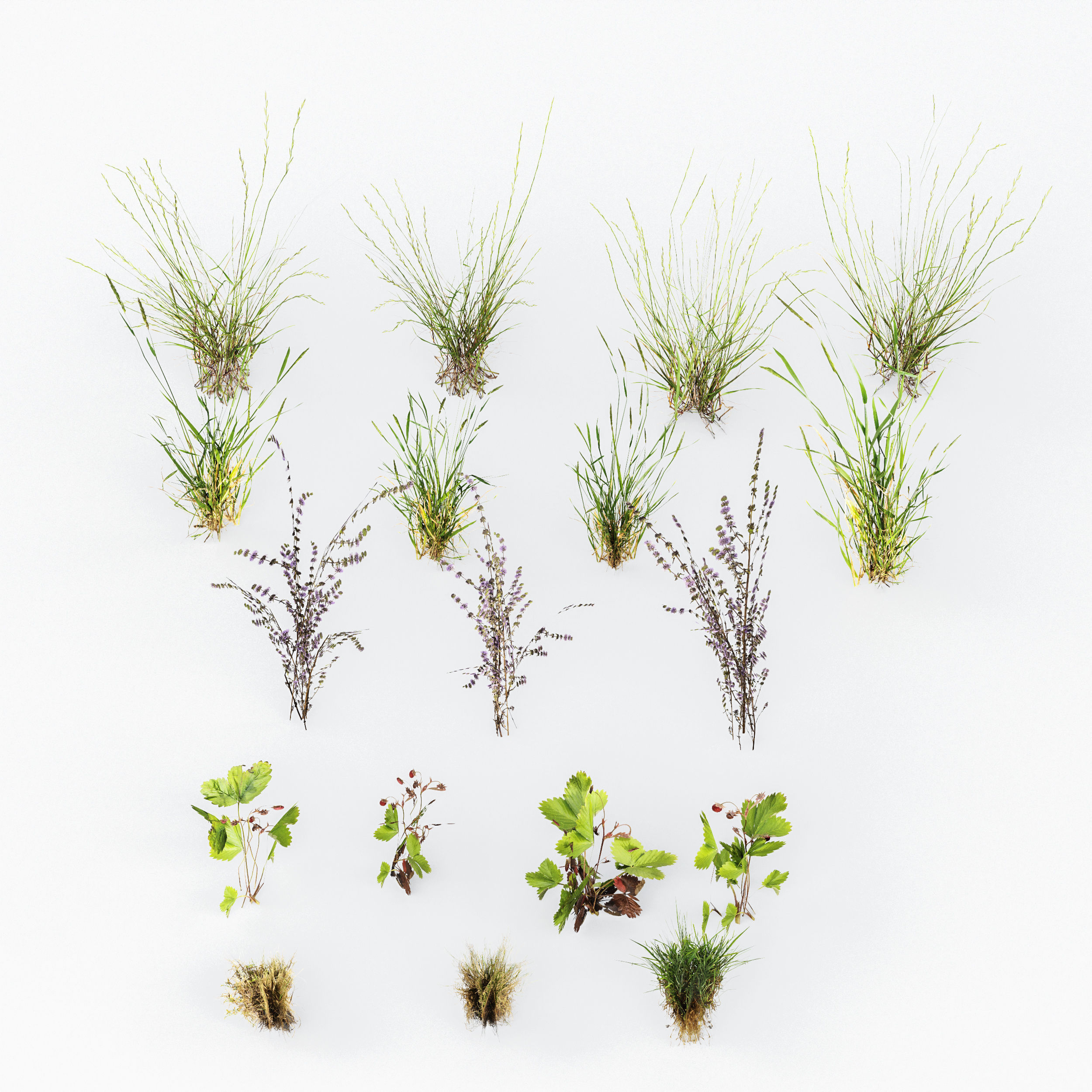  6 Different SETS of Grass SET VOL93 3D Model Collection_21