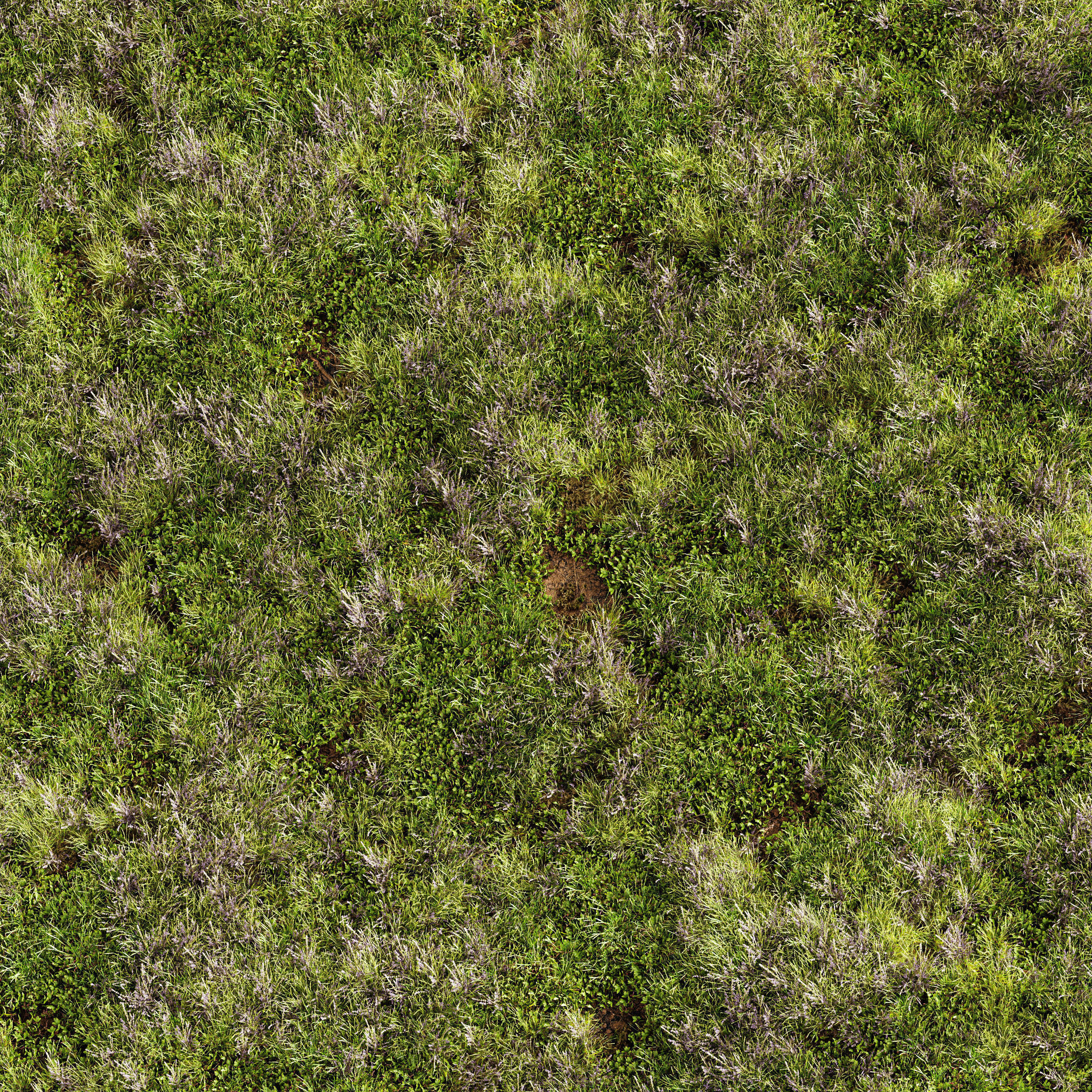  6 Different SETS of Grass SET VOL93 3D Model Collection_18