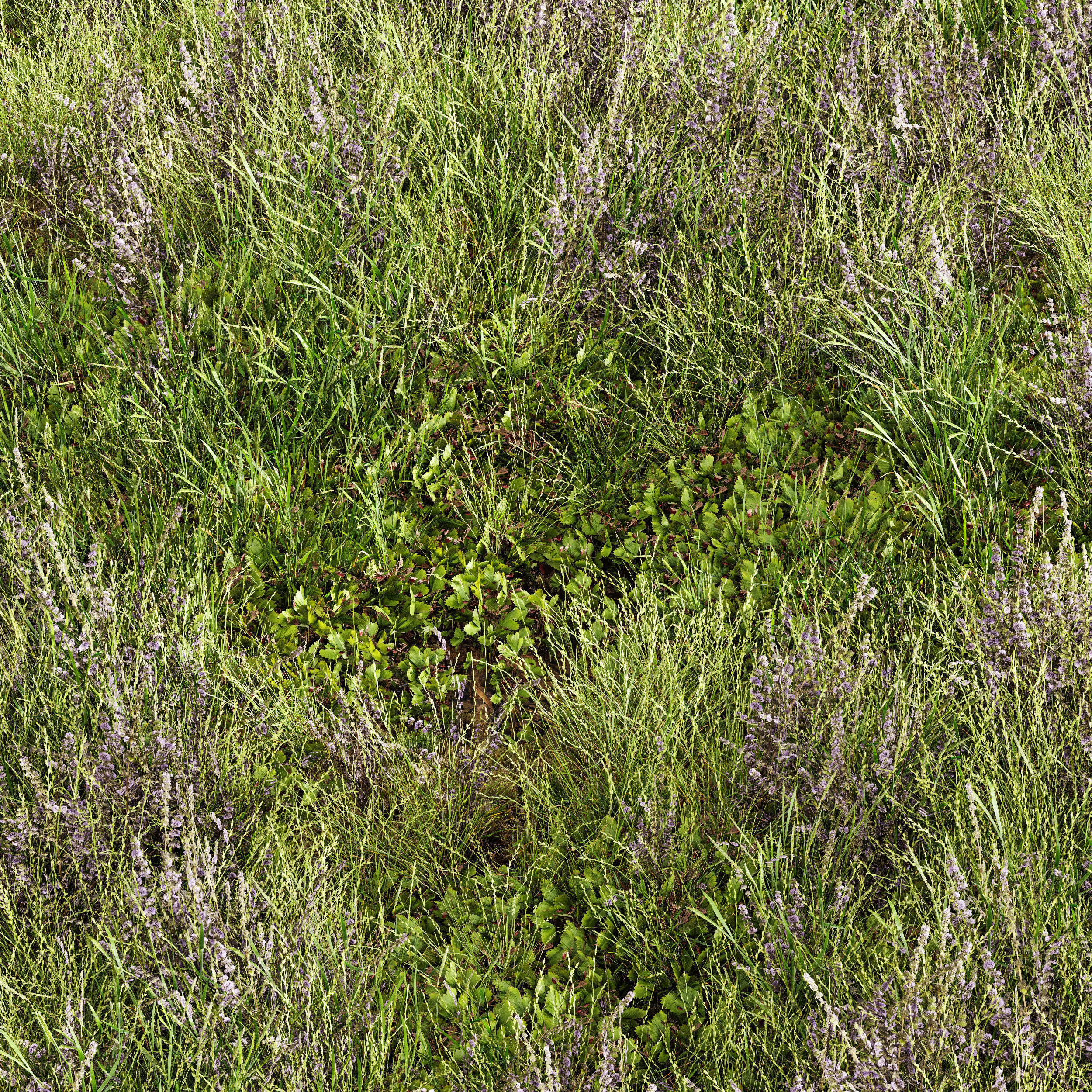  6 Different SETS of Grass SET VOL93 3D Model Collection_19