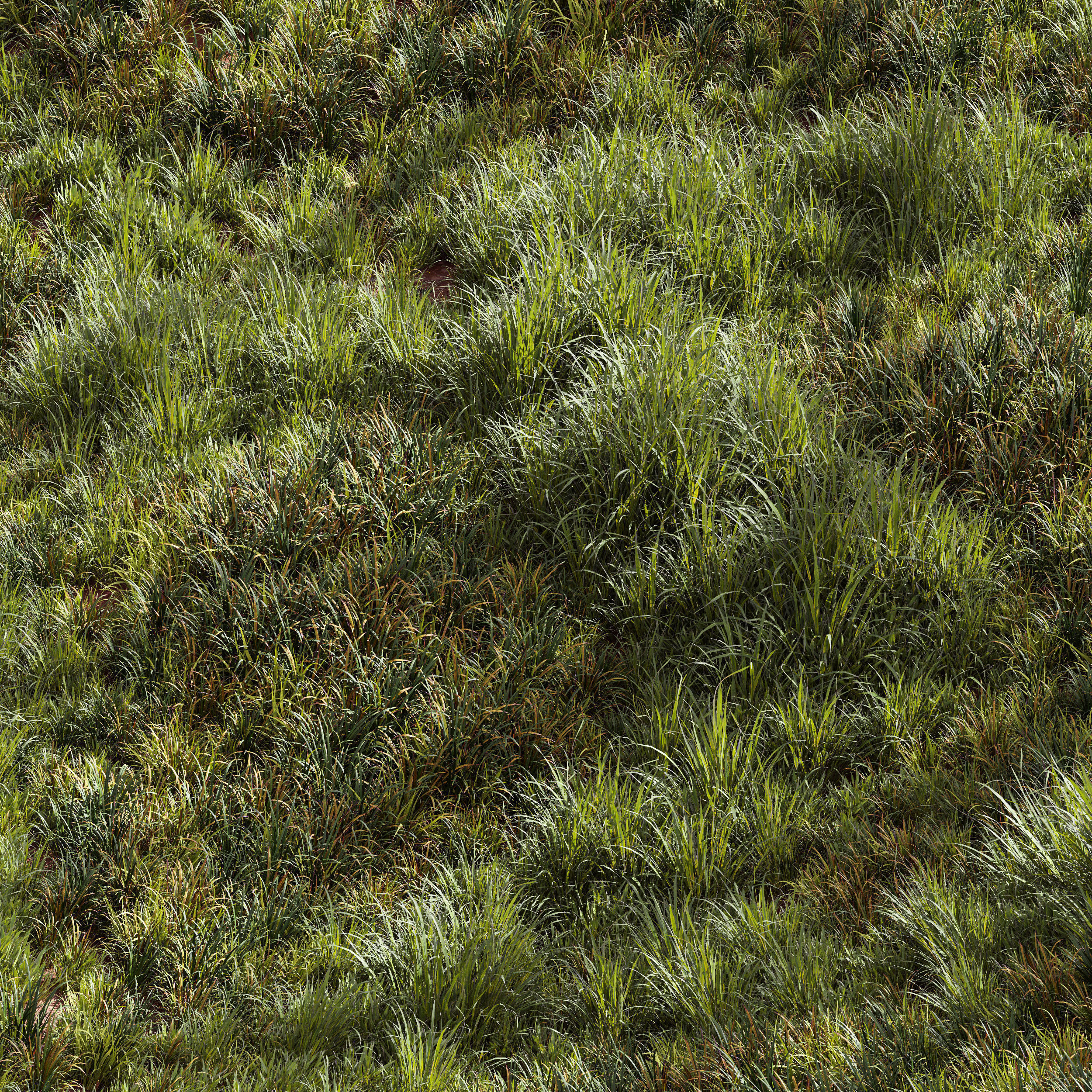  6 Different SETS of Grass SET VOL93 3D Model Collection_12