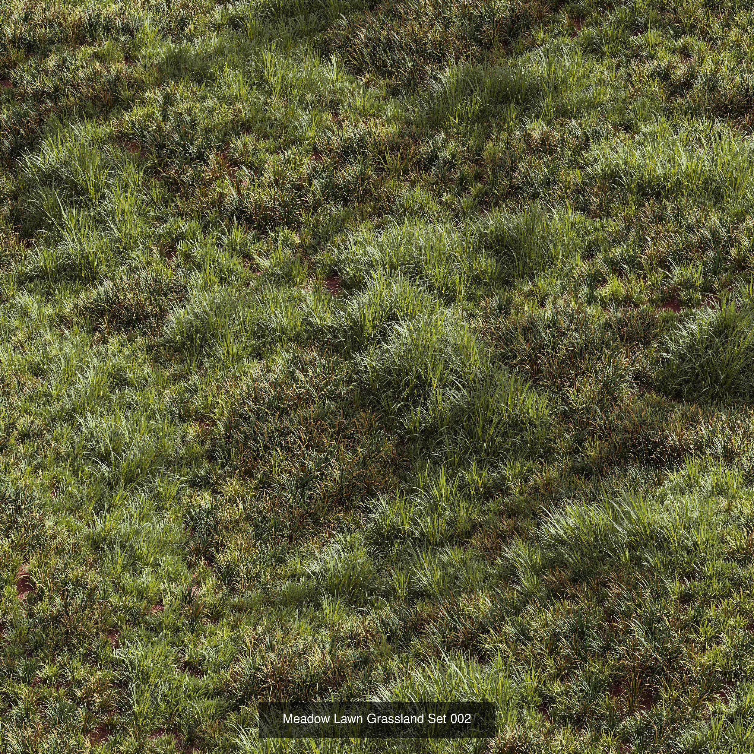  6 Different SETS of Grass SET VOL93 3D Model Collection_5