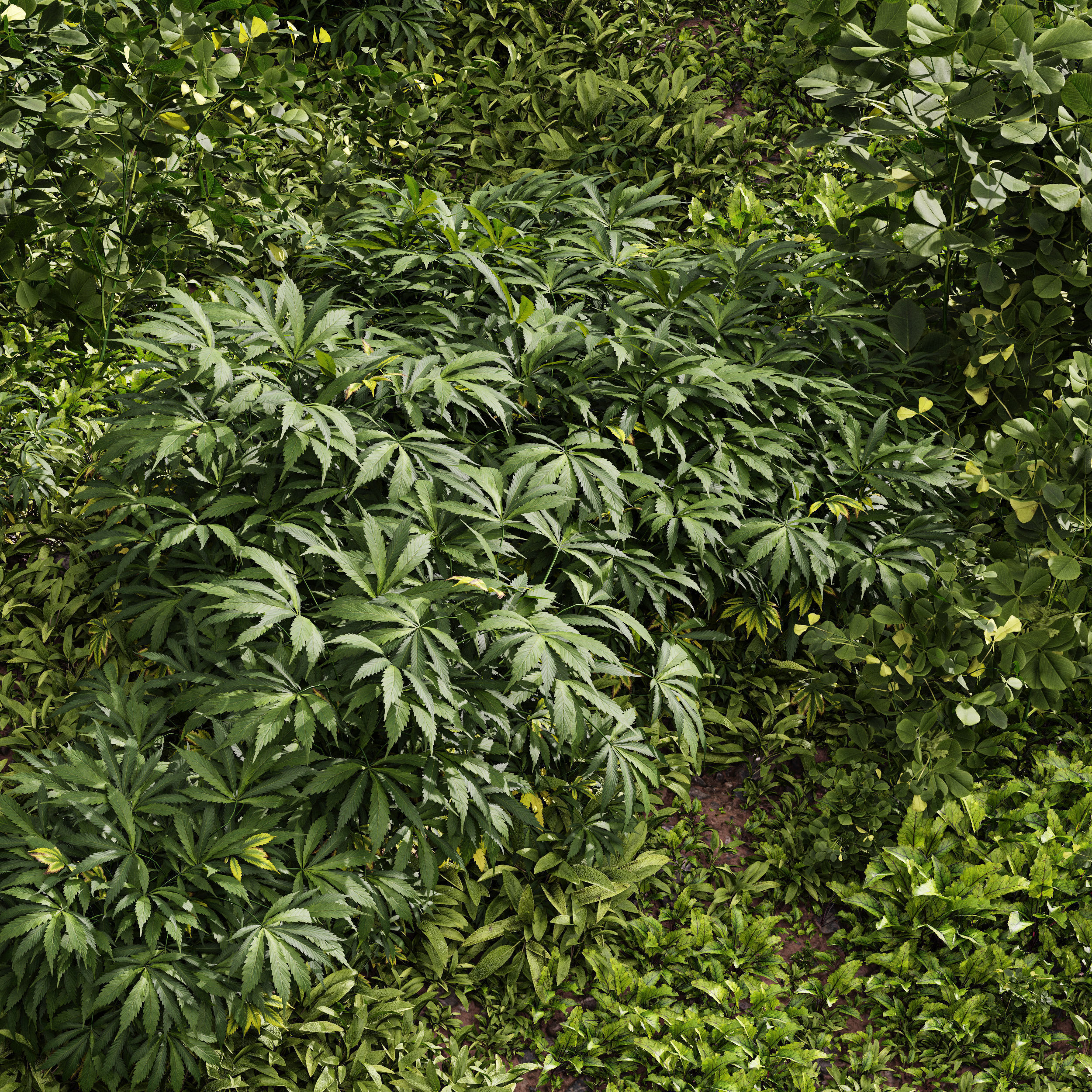  6 Different SETS of Grass SET VOL93 3D Model Collection_10