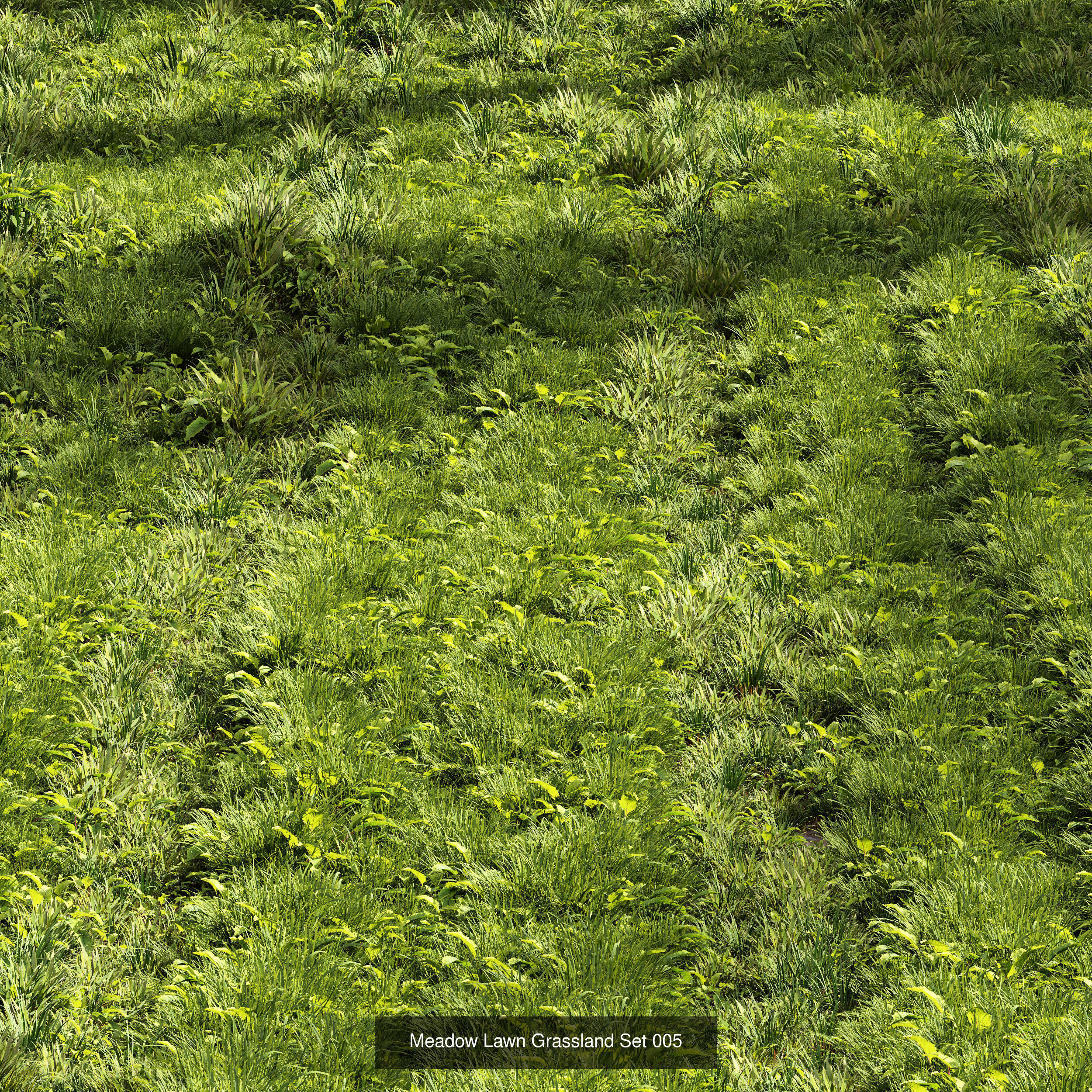  6 Different SETS of Grass SET VOL93 3D Model Collection_3