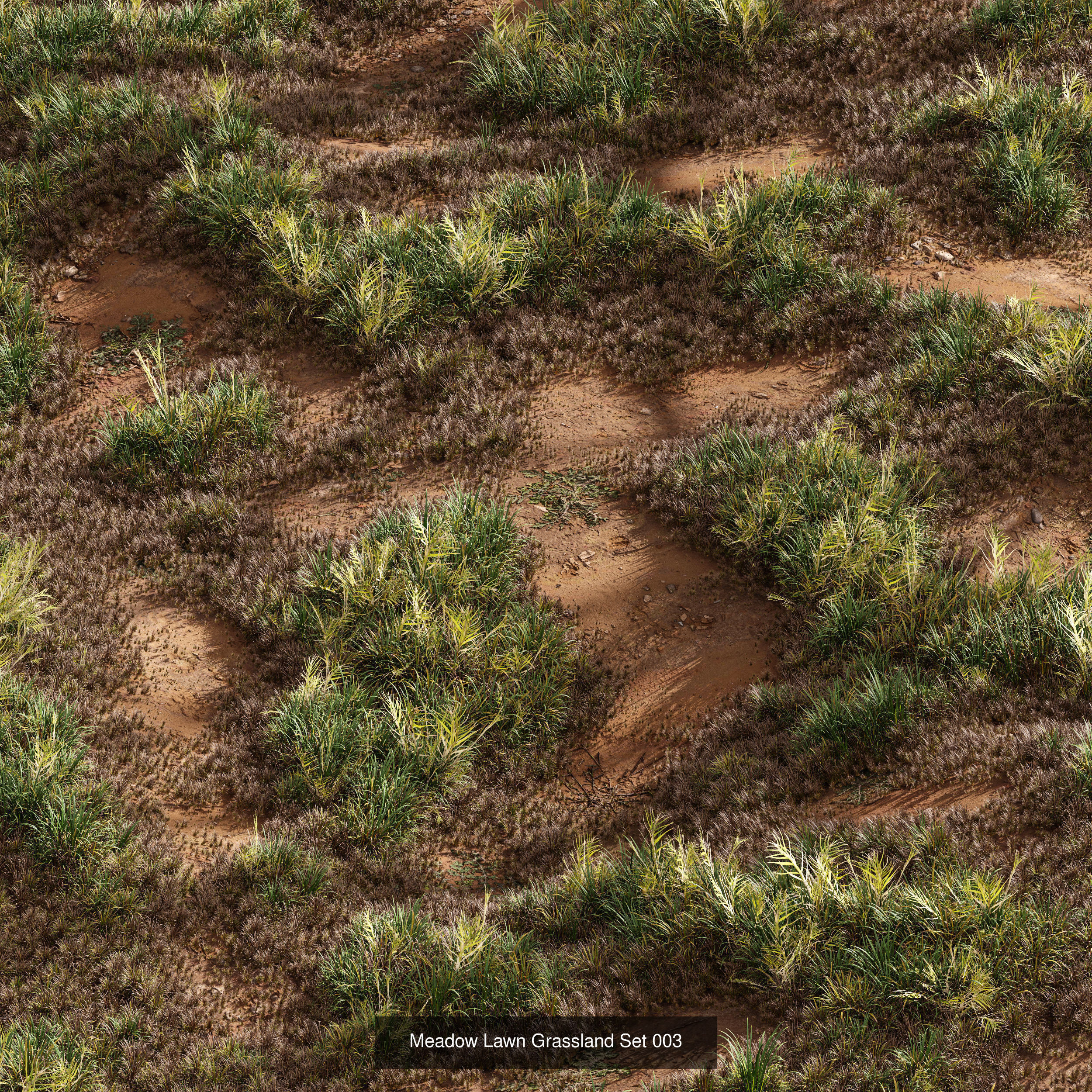  6 Different SETS of Grass SET VOL93 3D Model Collection_7