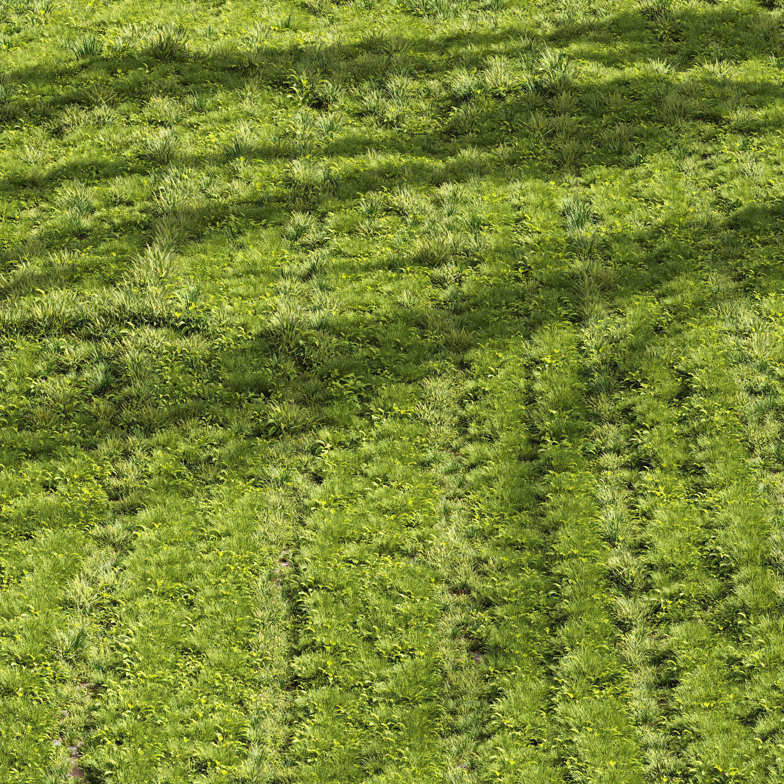  6 Different SETS of Grass SET VOL93 3D Model Collection_16