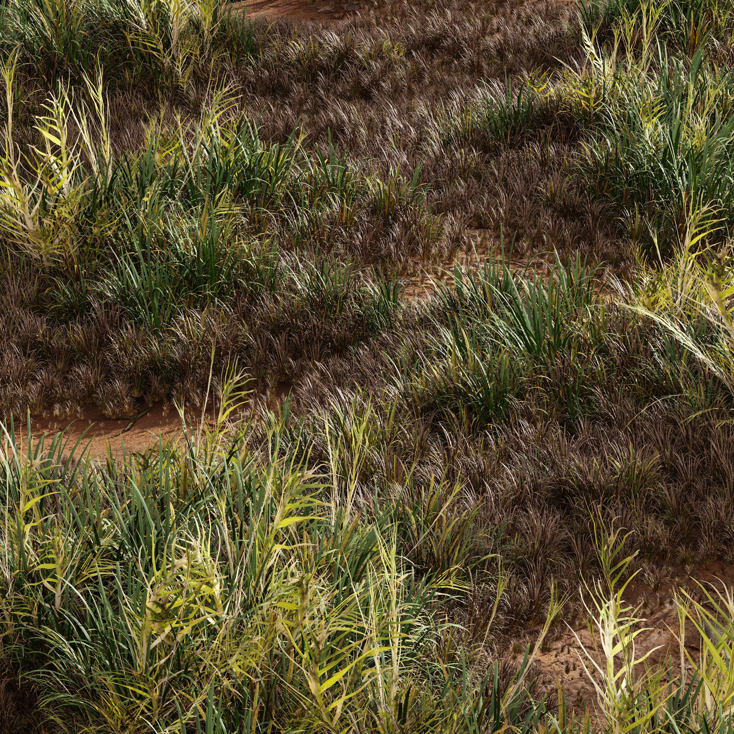  6 Different SETS of Grass SET VOL93 3D Model Collection_9