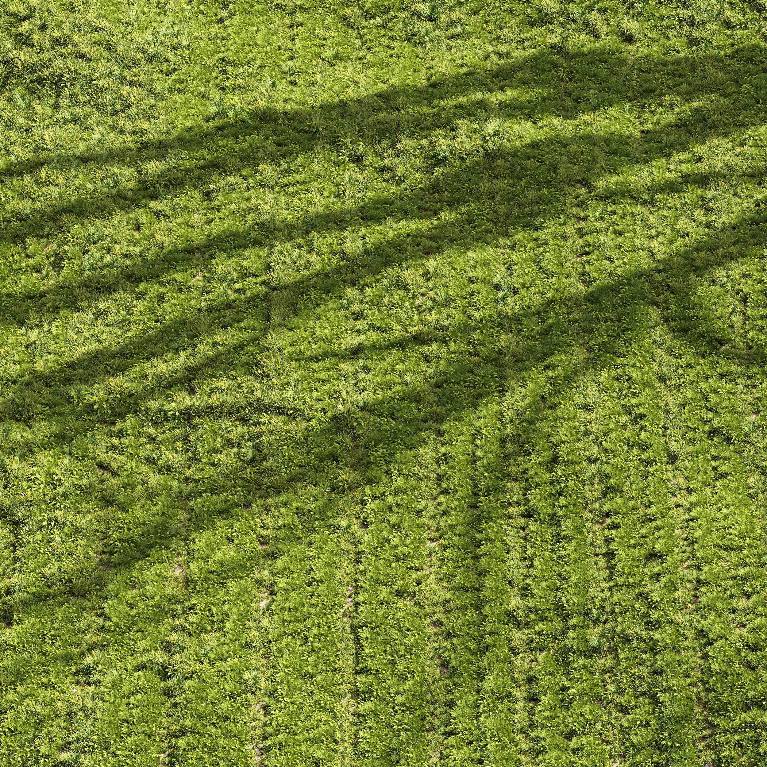  6 Different SETS of Grass SET VOL93 3D Model Collection_15