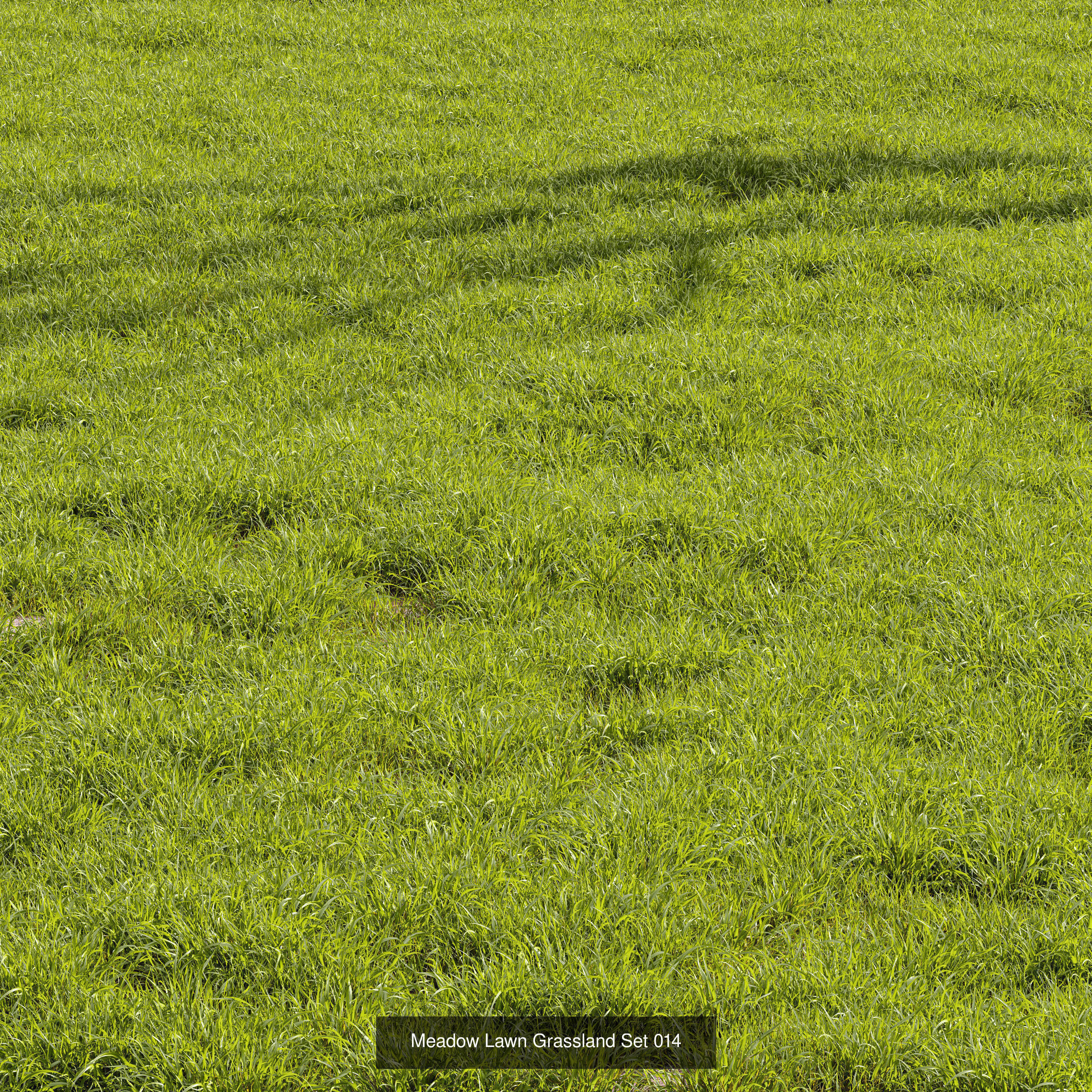  6 Different SETS of Grass SET VOL93 3D Model Collection_2