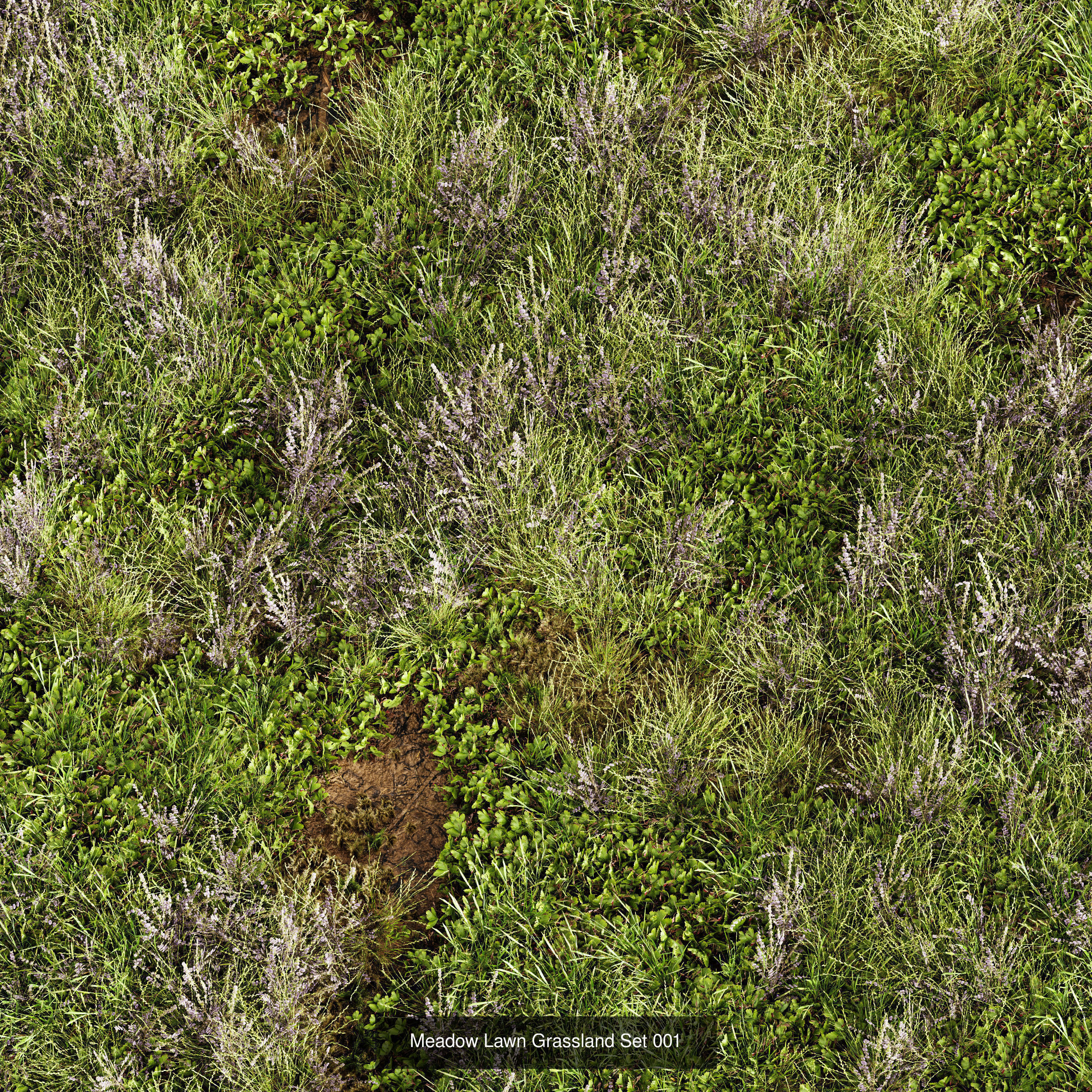 6 Different SETS of Grass SET VOL93 3D Model Collection_4