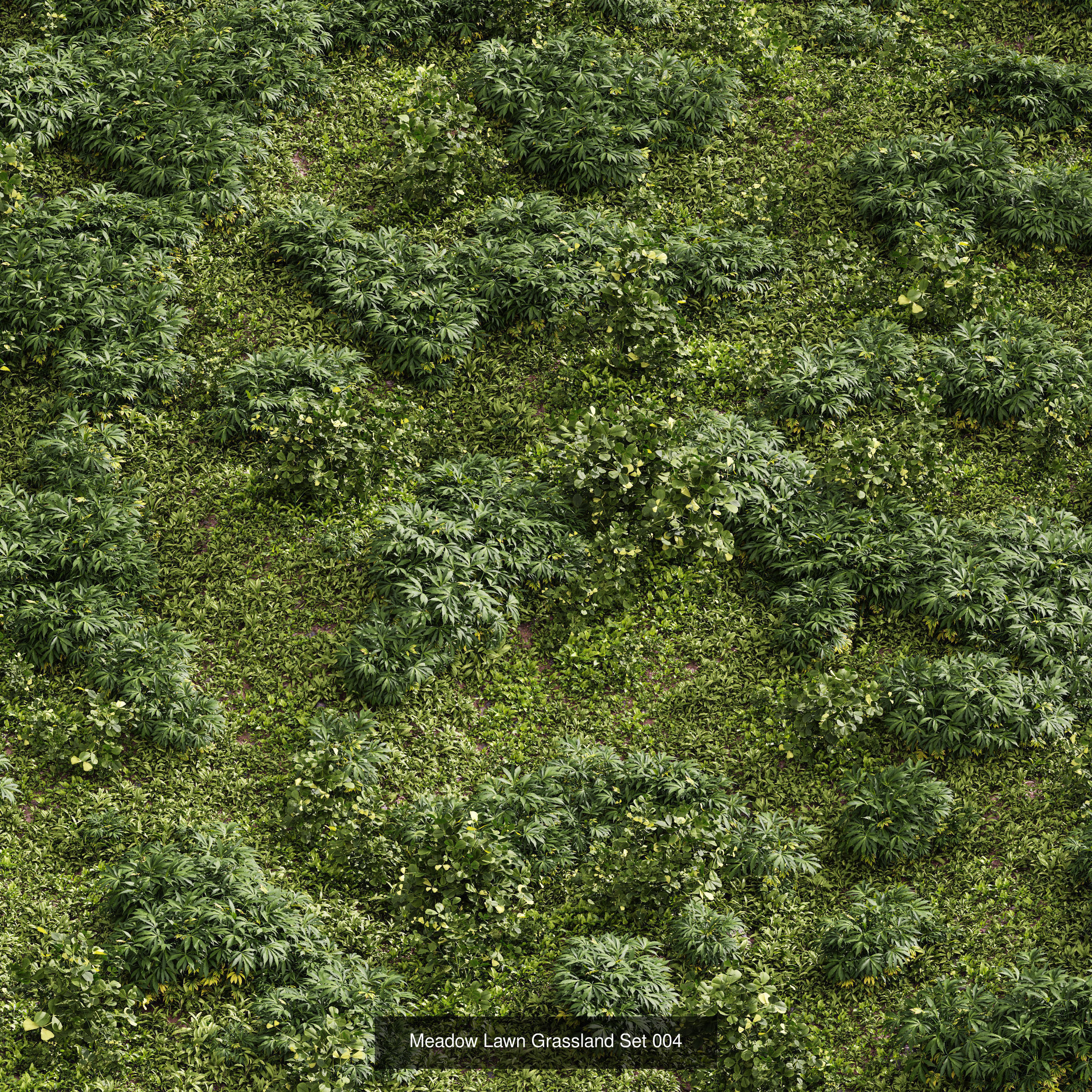  6 Different SETS of Grass SET VOL93 3D Model Collection_6