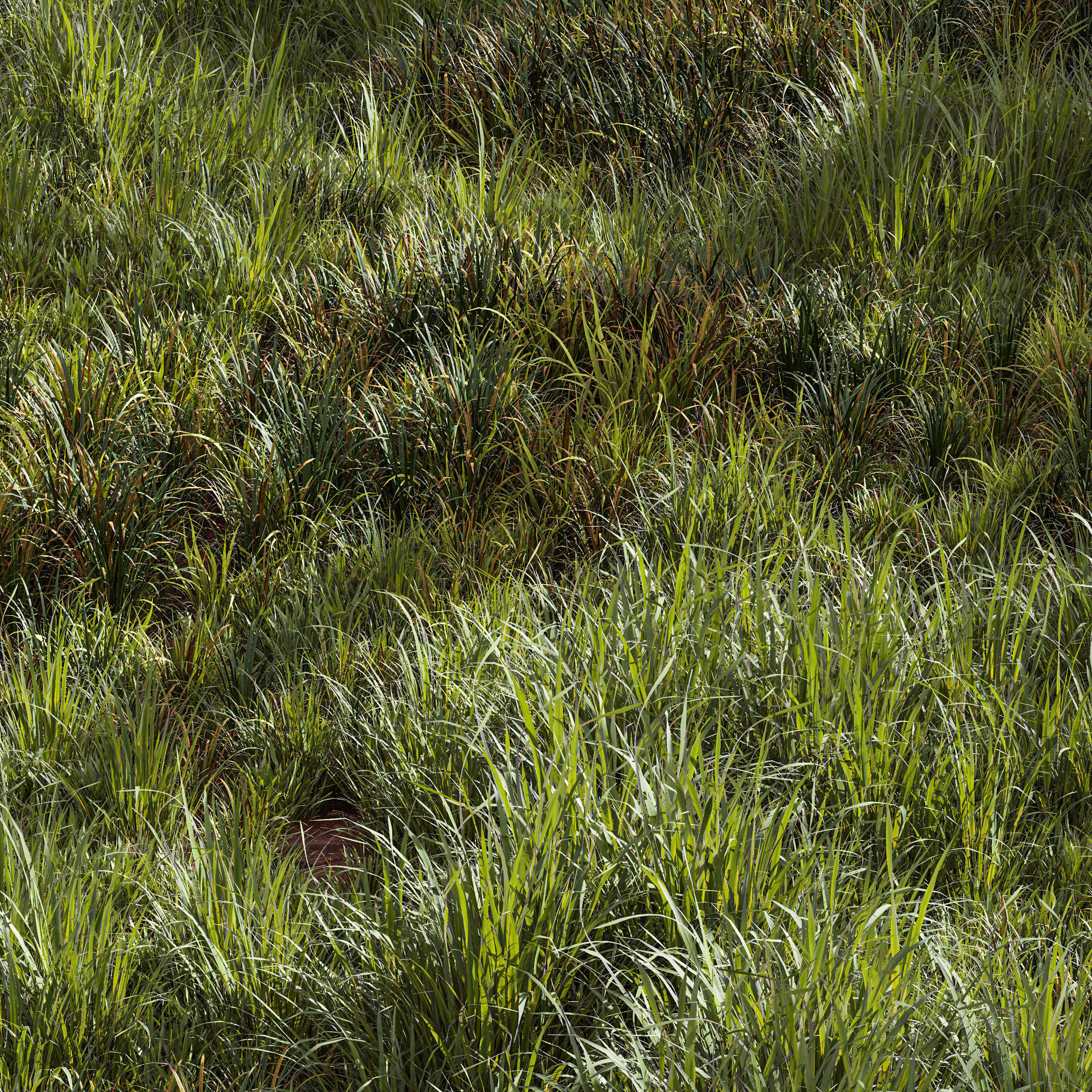  6 Different SETS of Grass SET VOL93 3D Model Collection_11