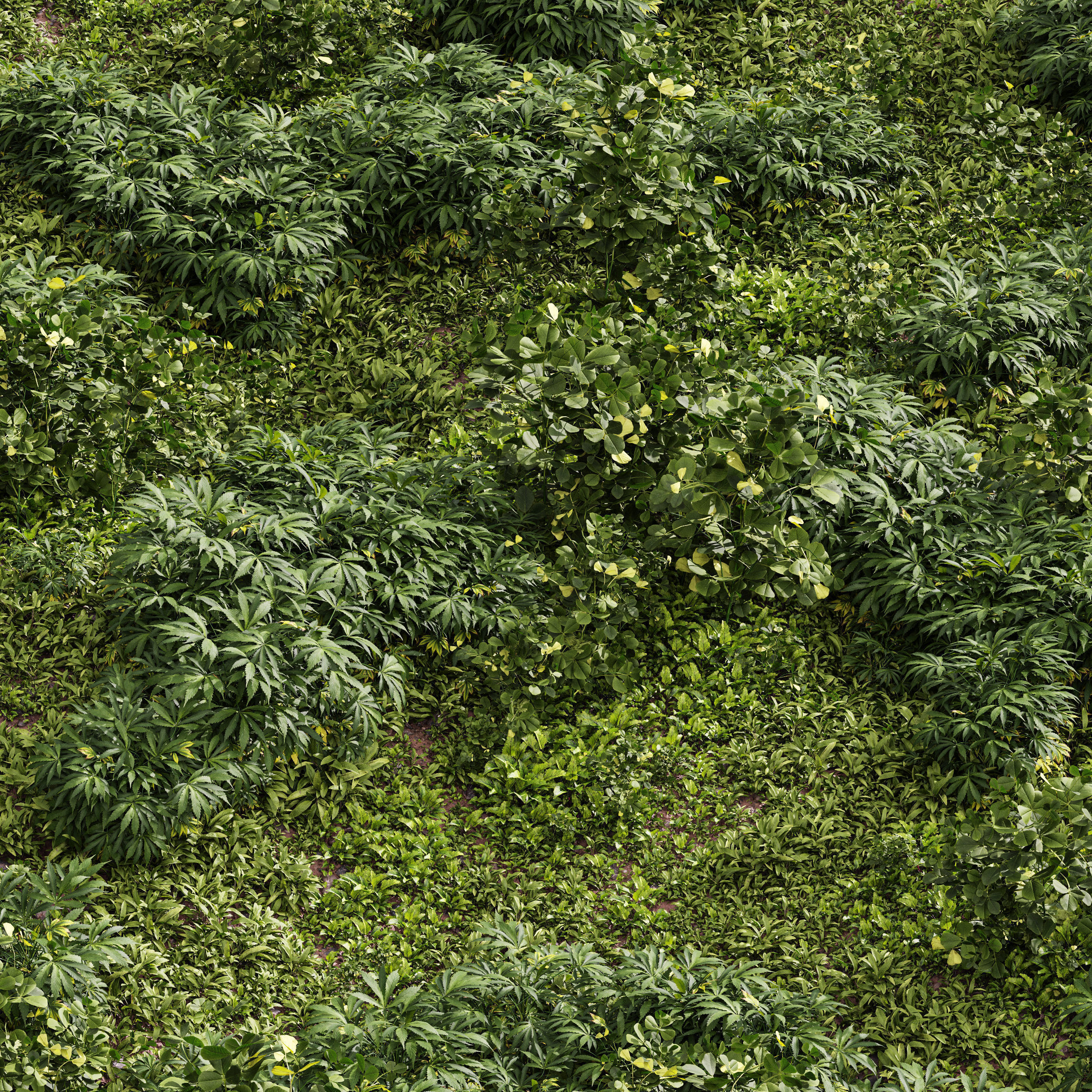  6 Different SETS of Grass SET VOL93 3D Model Collection_13