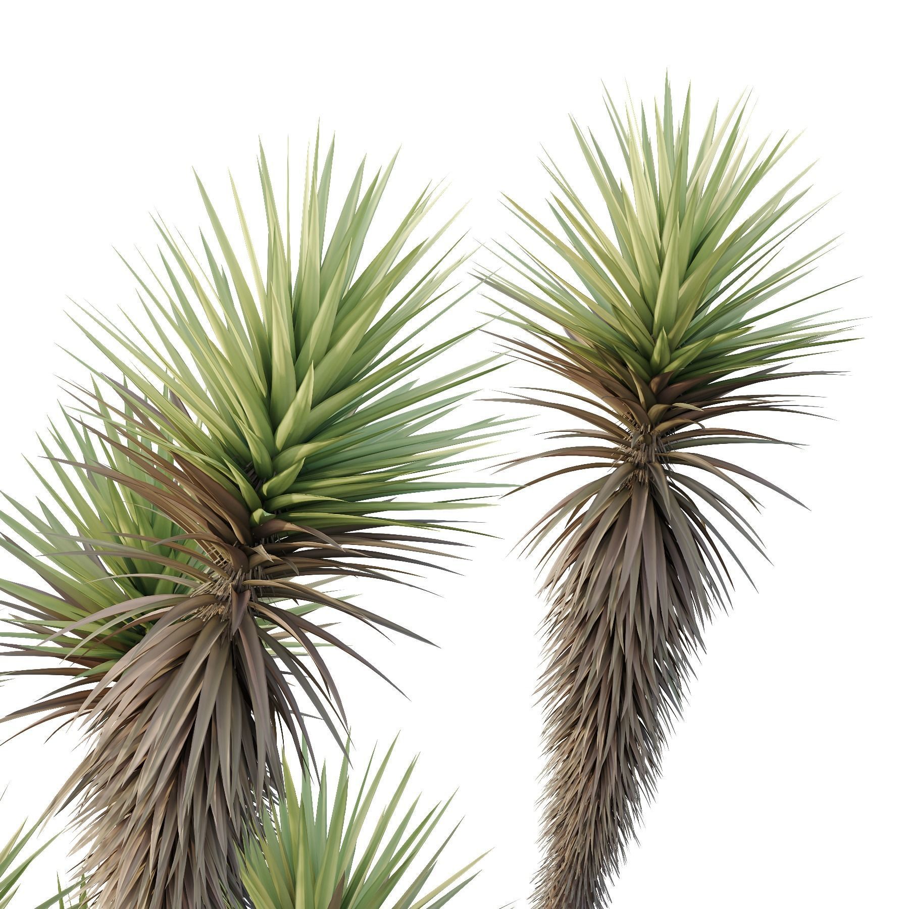 HQ Tree and bush garden box outdoor VOL 23 3D model_2