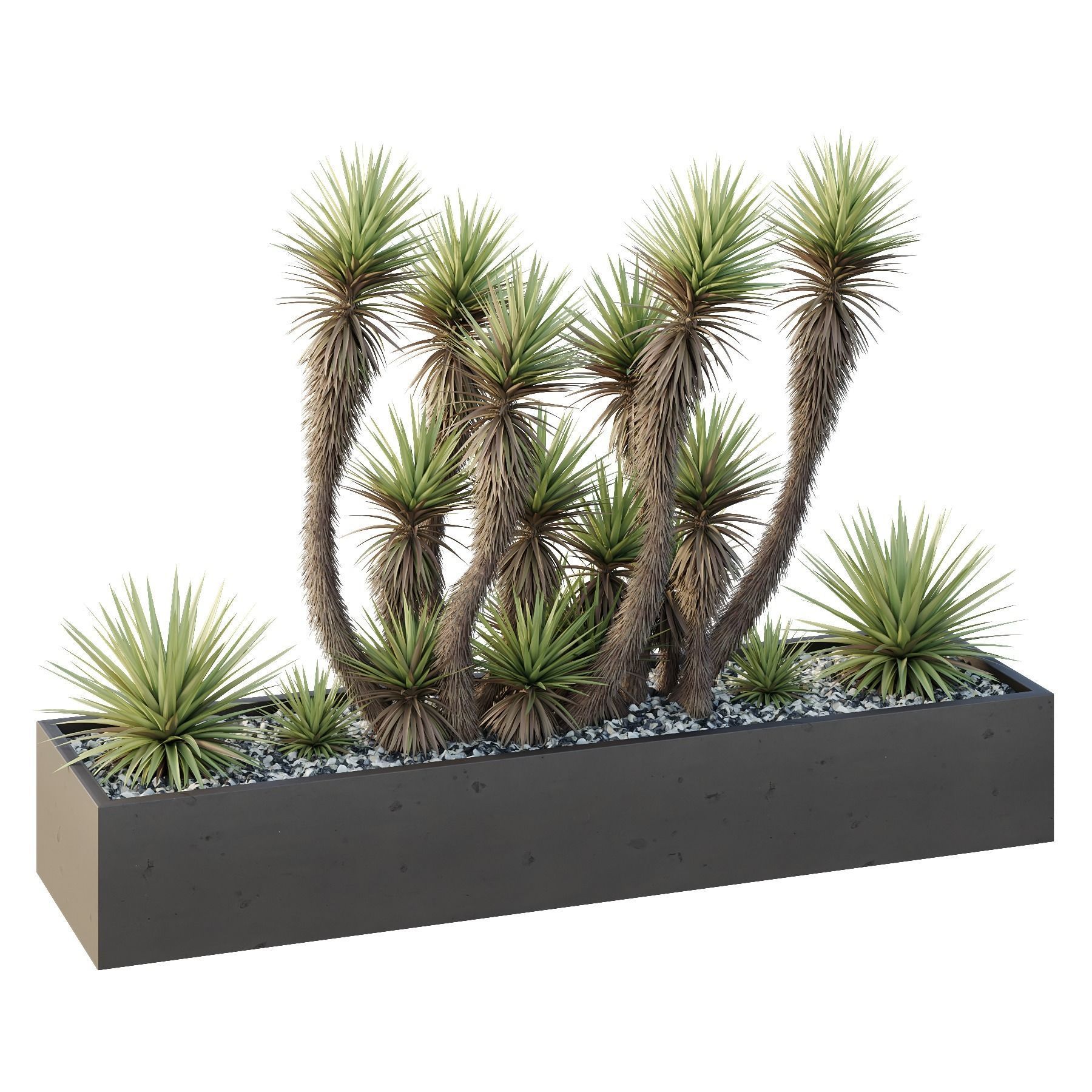 HQ Tree and bush garden box outdoor VOL 23 3D model_1