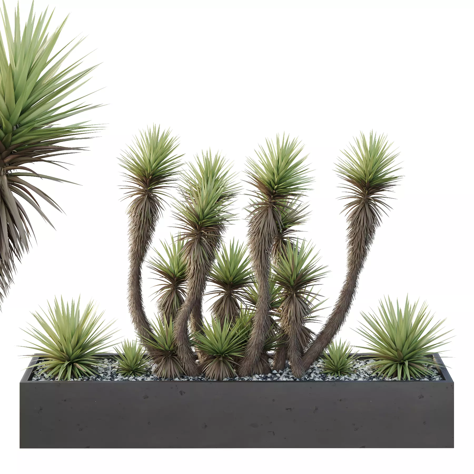 HQ Tree and bush garden box outdoor VOL 23 3D model_0