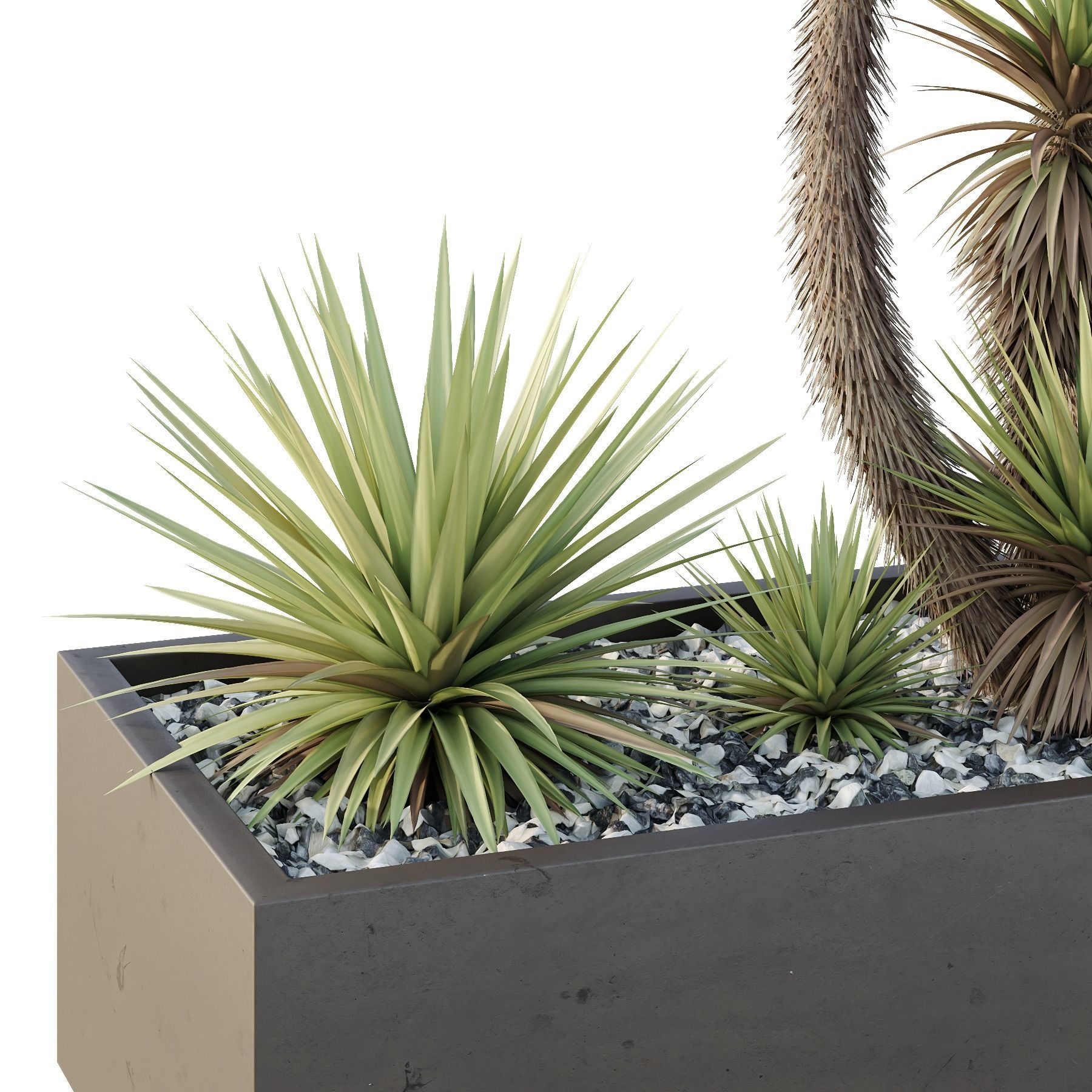 HQ Tree and bush garden box outdoor VOL 23 3D model_3