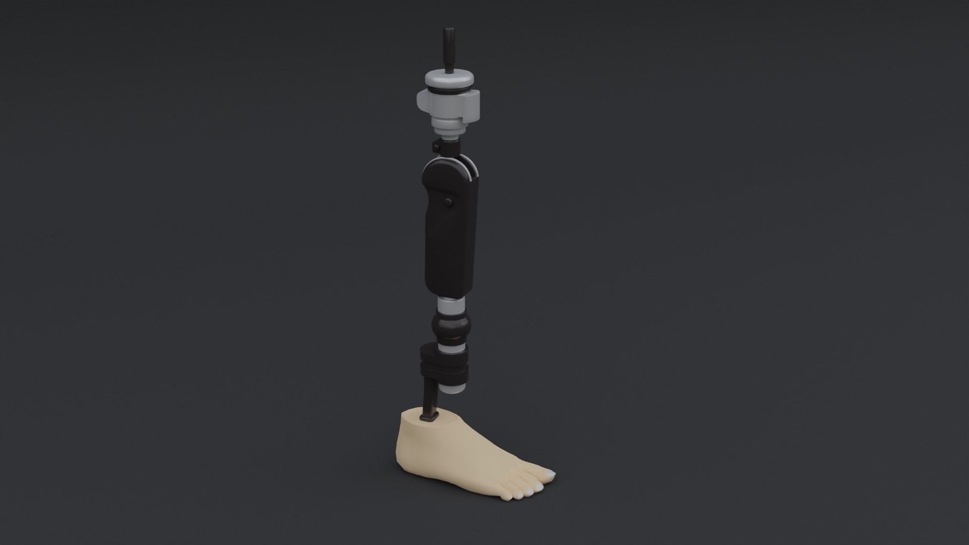 Transfemoral Prosthetic Leg Low-poly 3D model_4