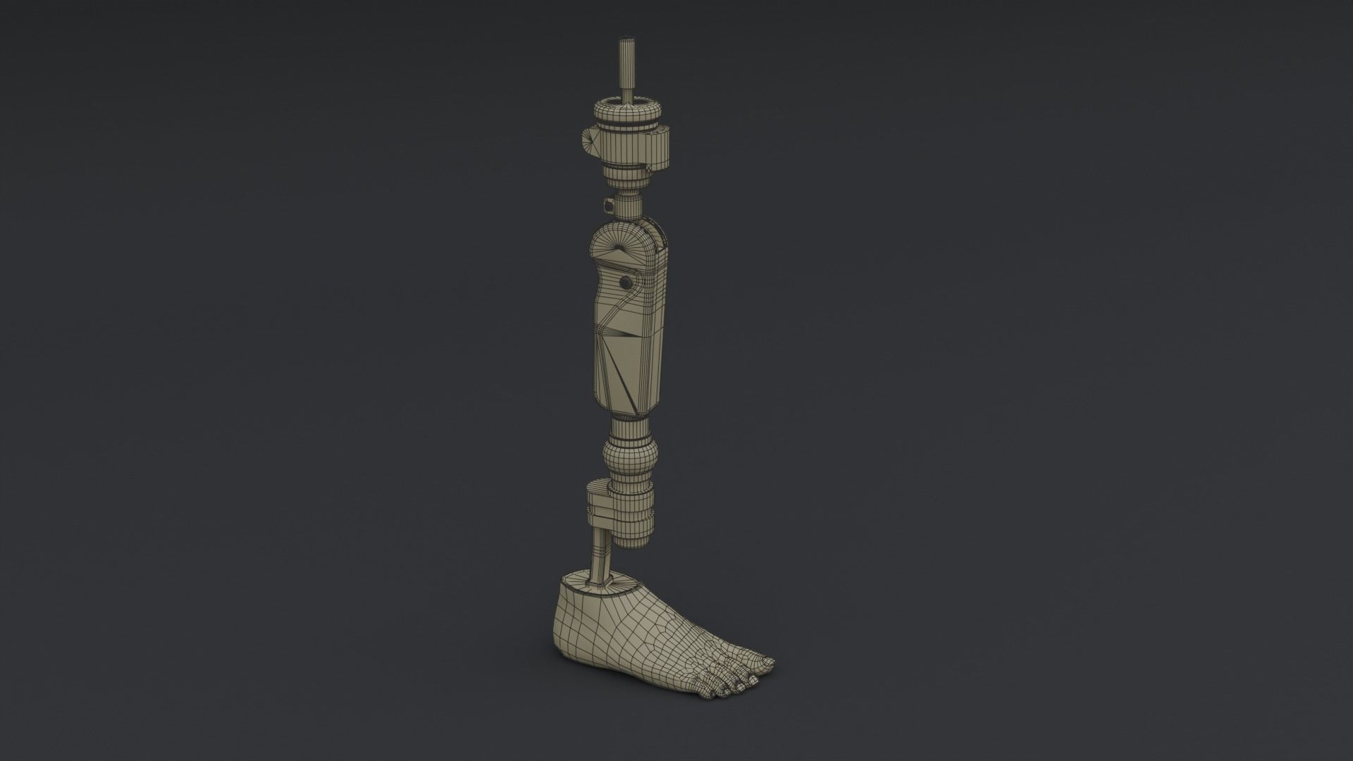Transfemoral Prosthetic Leg Low-poly 3D model_6