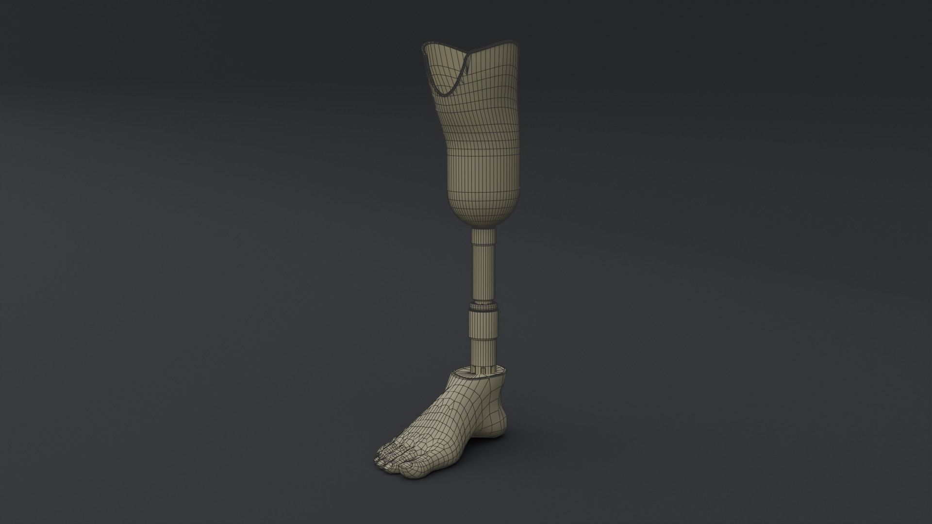 Transtibial Prosthetic Leg Low-poly 3D model_6
