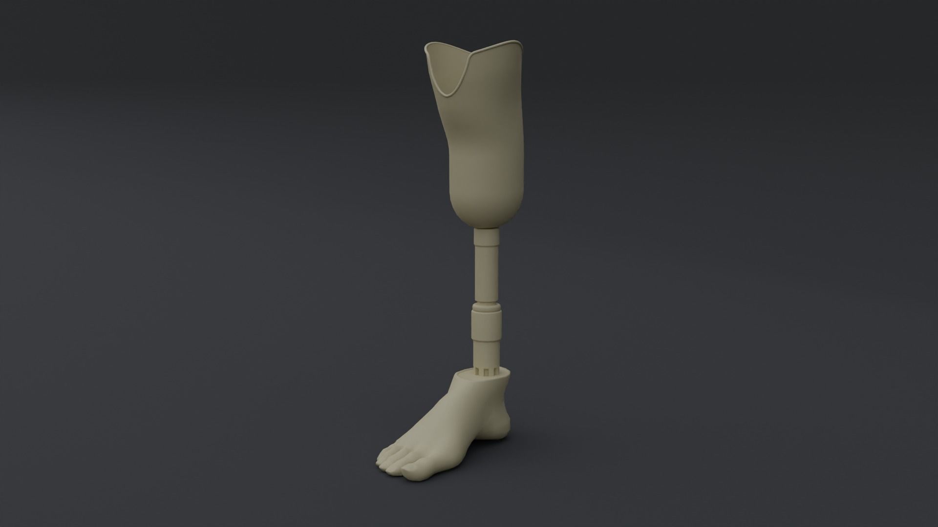 Transtibial Prosthetic Leg Low-poly 3D model_5