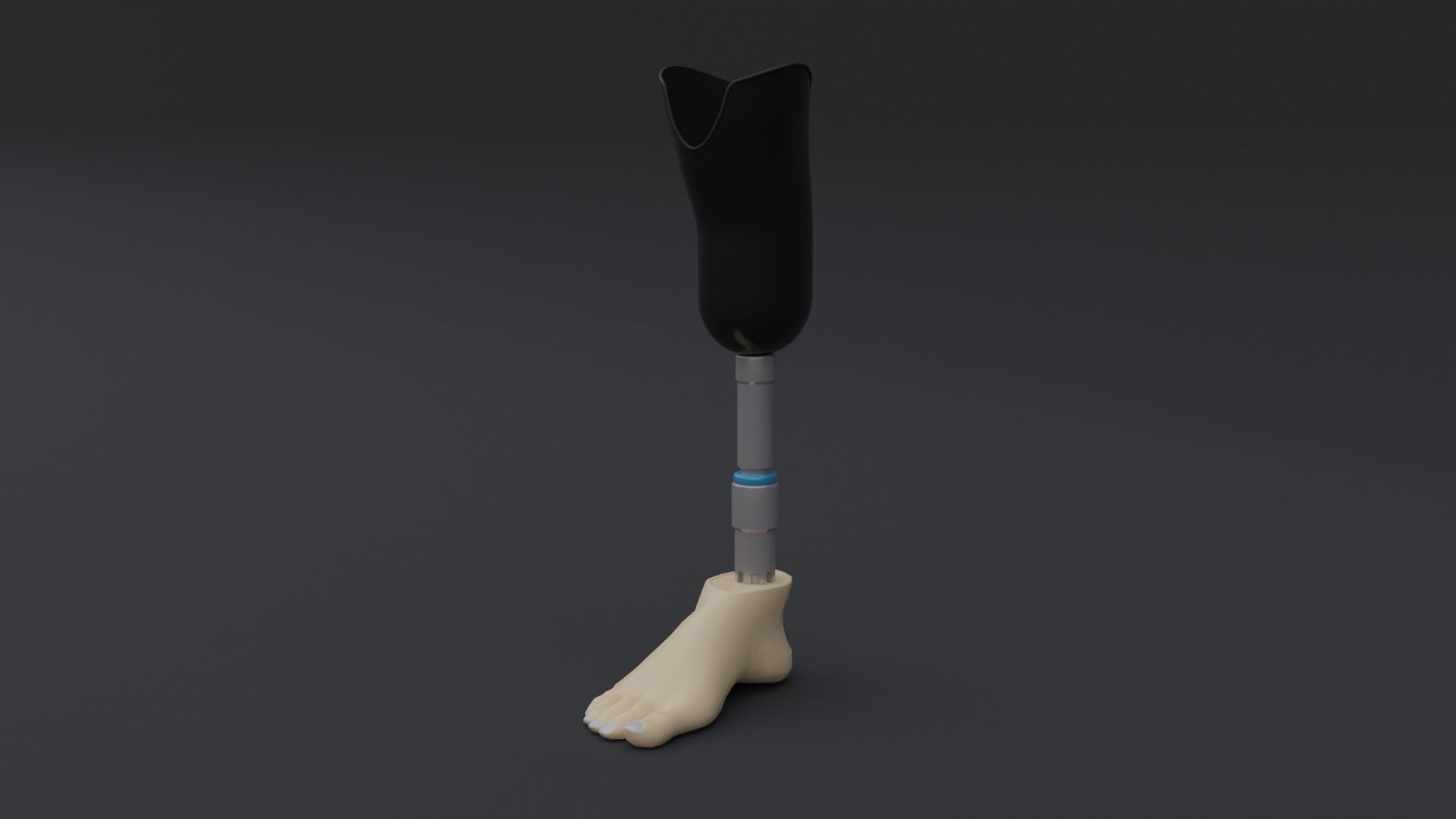 Transtibial Prosthetic Leg Low-poly 3D model_4