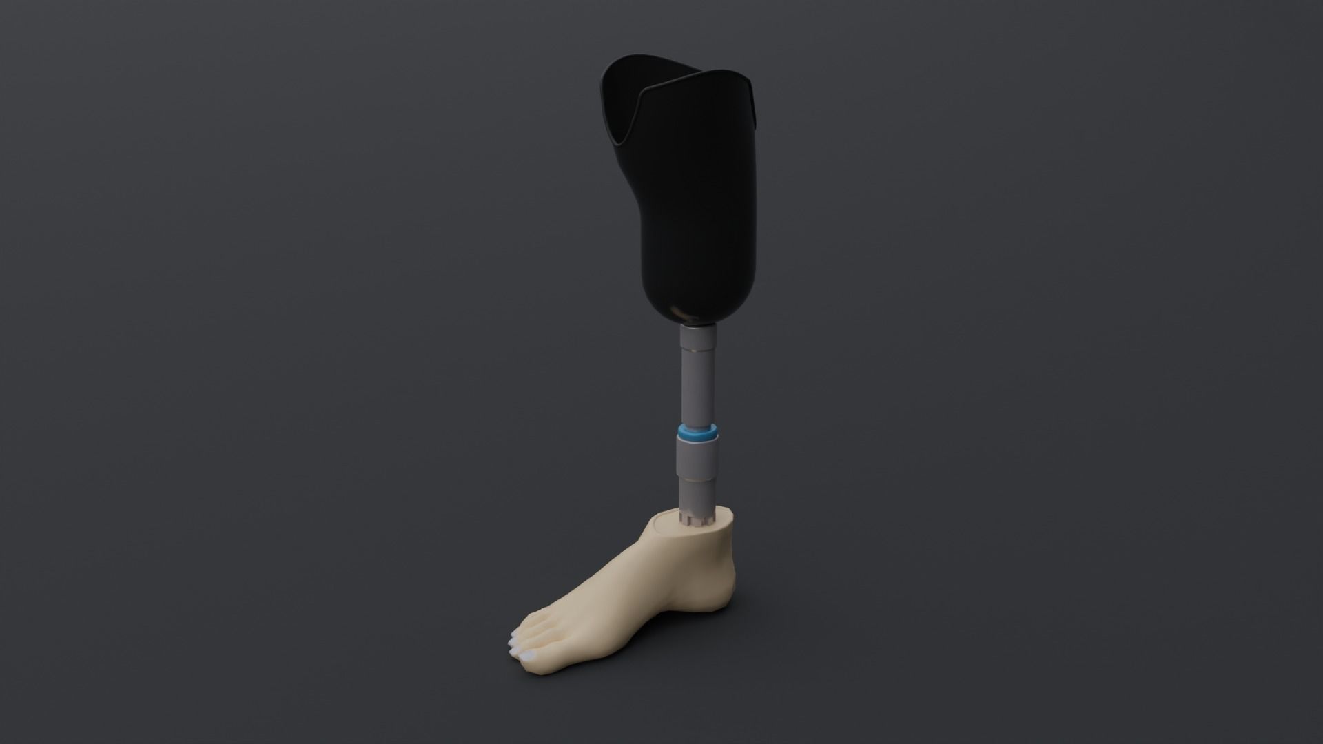 Transtibial Prosthetic Leg Low-poly 3D model_2