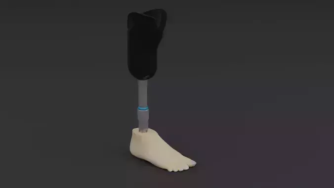 Transtibial Prosthetic Leg Low-poly 3D model