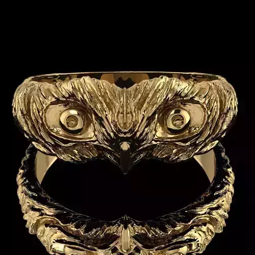 Owl Ring  3D print model