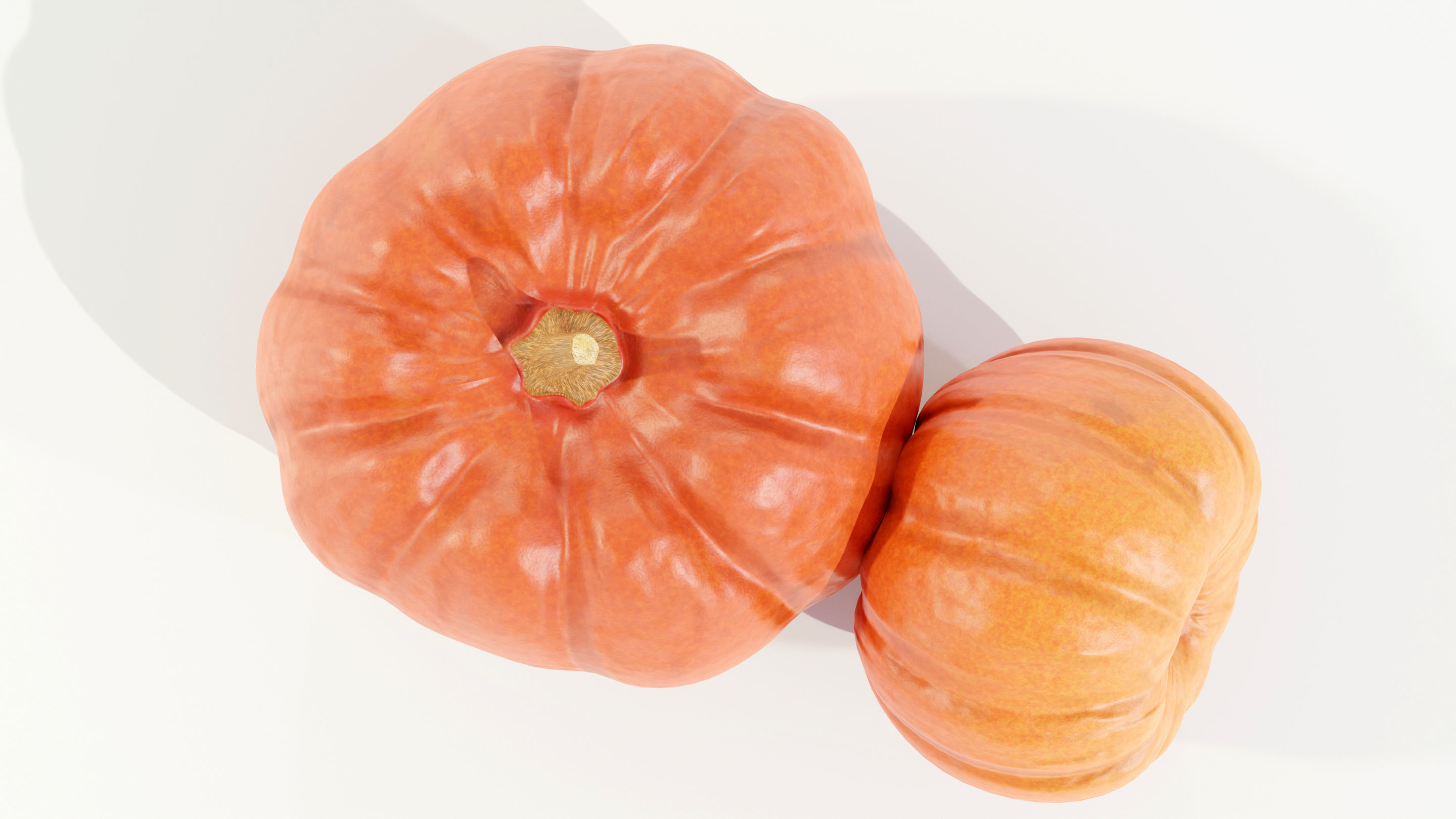 Pumpkin 3D model_10