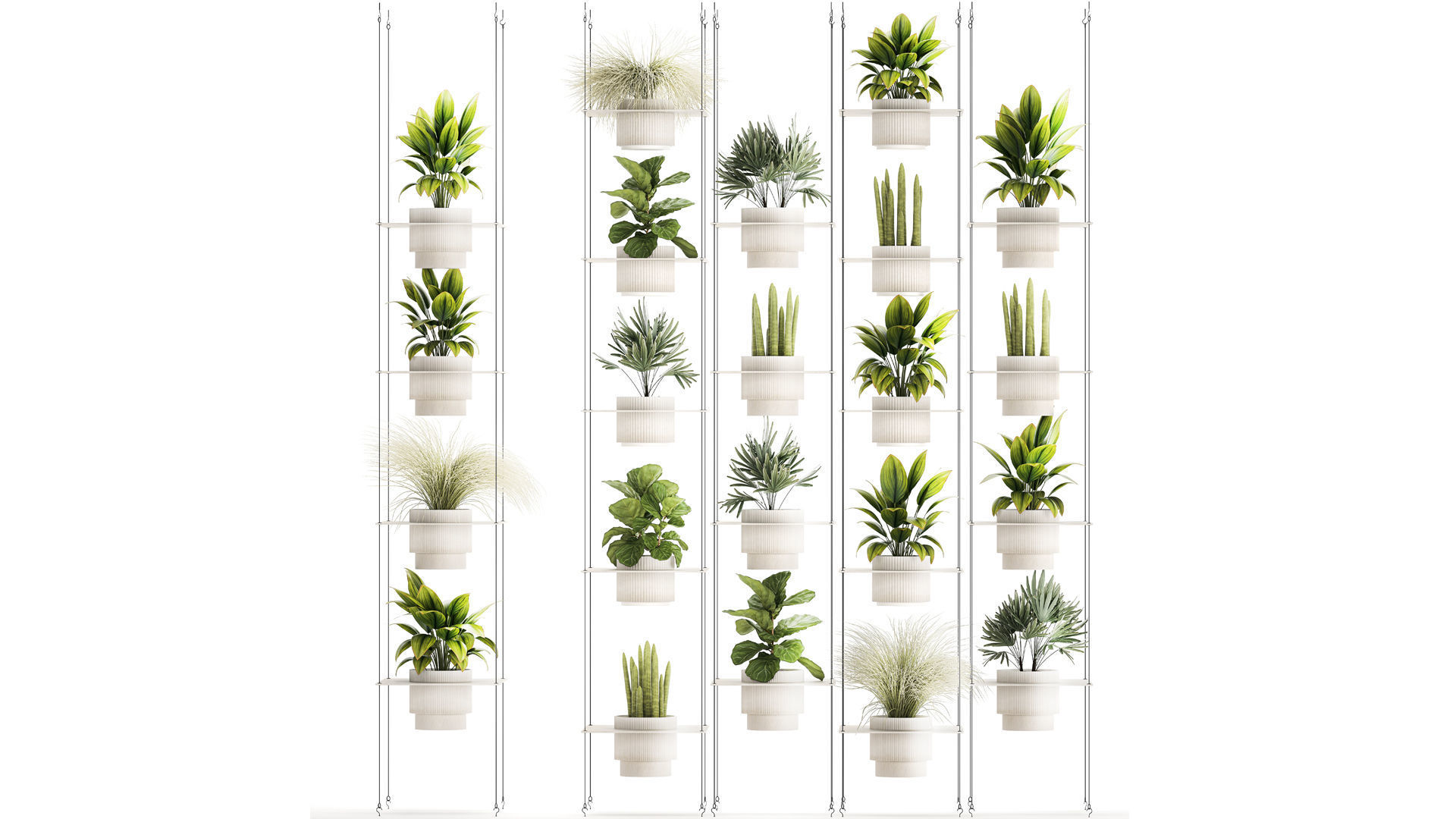 Hanging Shelf On Ropes Potted Plants Raphis Palm Ficus 1419 3D model_1