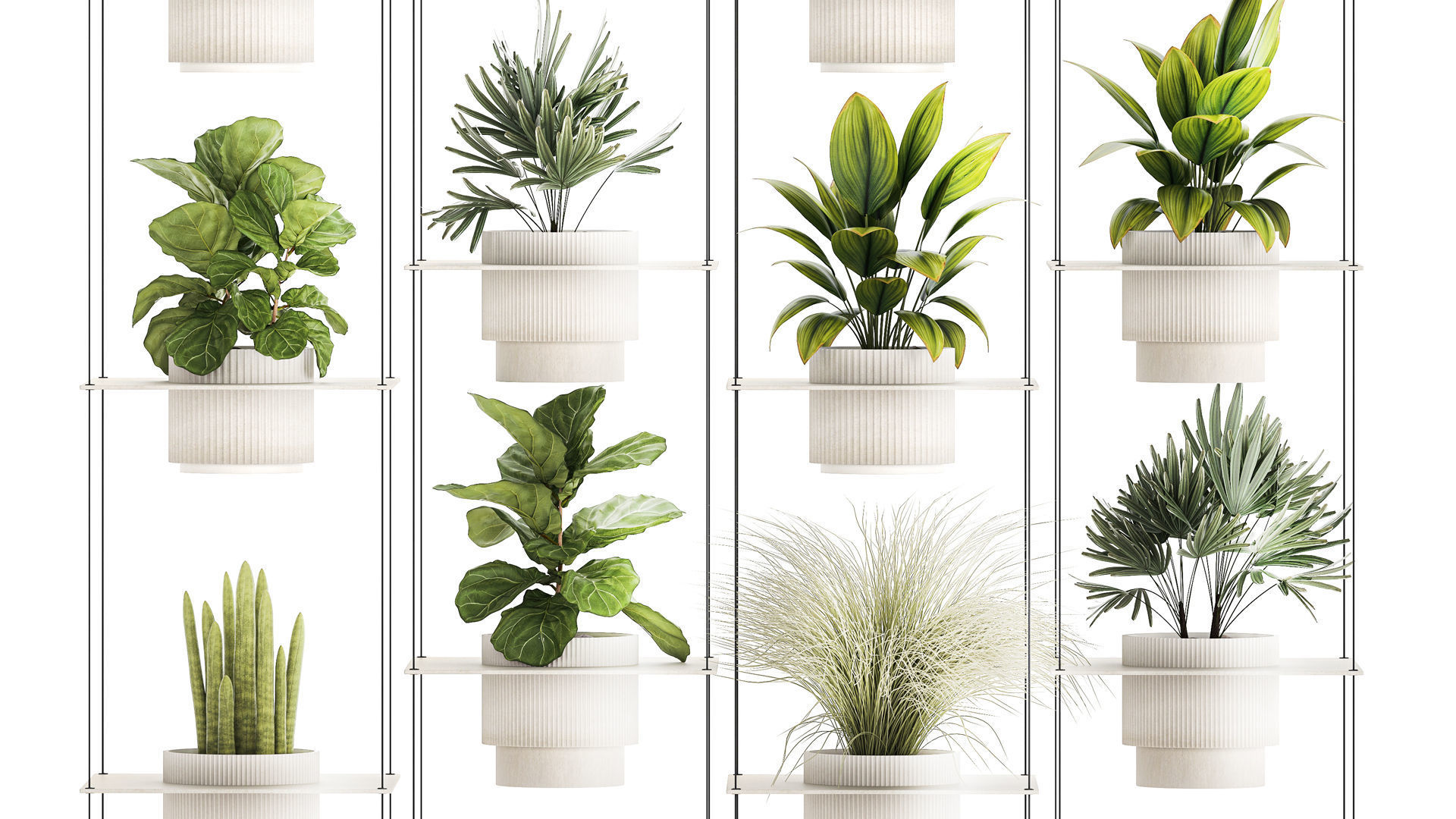 Hanging Shelf On Ropes Potted Plants Raphis Palm Ficus 1419 3D model_4