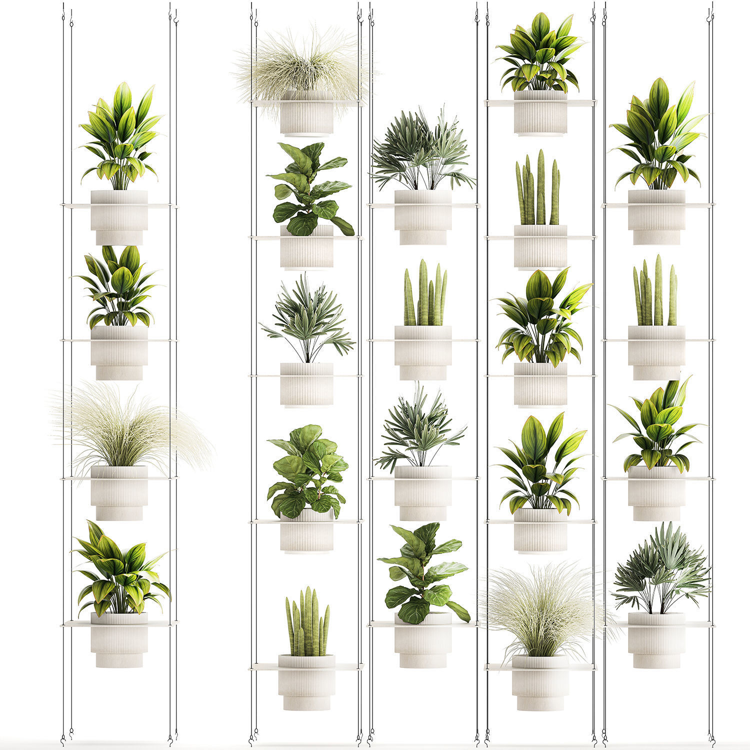Hanging Shelf On Ropes Potted Plants Raphis Palm Ficus 1419 3D model_8