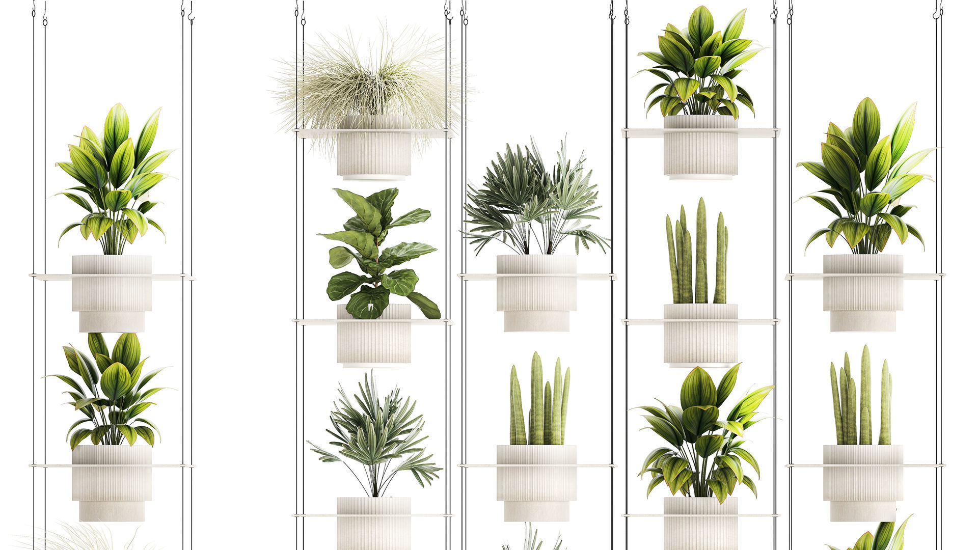 Hanging Shelf On Ropes Potted Plants Raphis Palm Ficus 1419 3D model_3