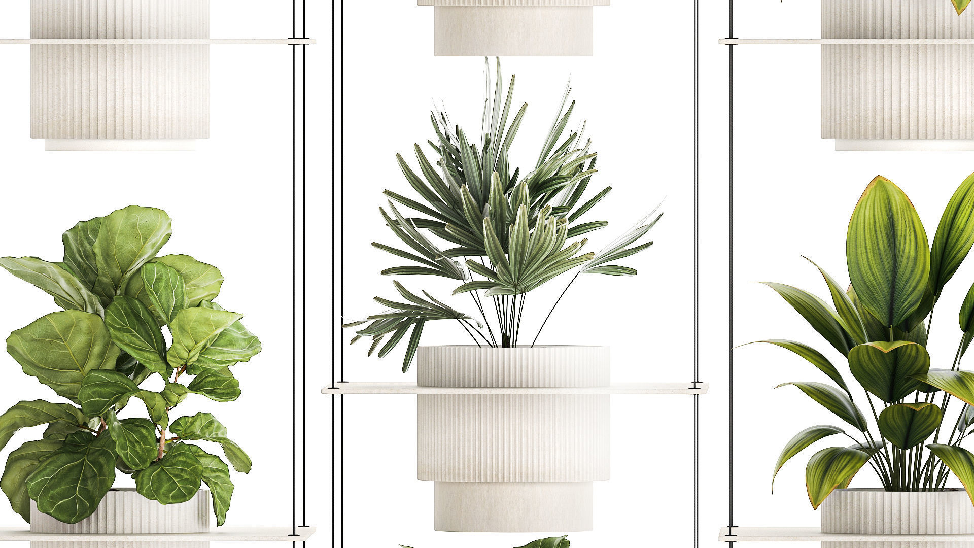 Hanging Shelf On Ropes Potted Plants Raphis Palm Ficus 1419 3D model_7