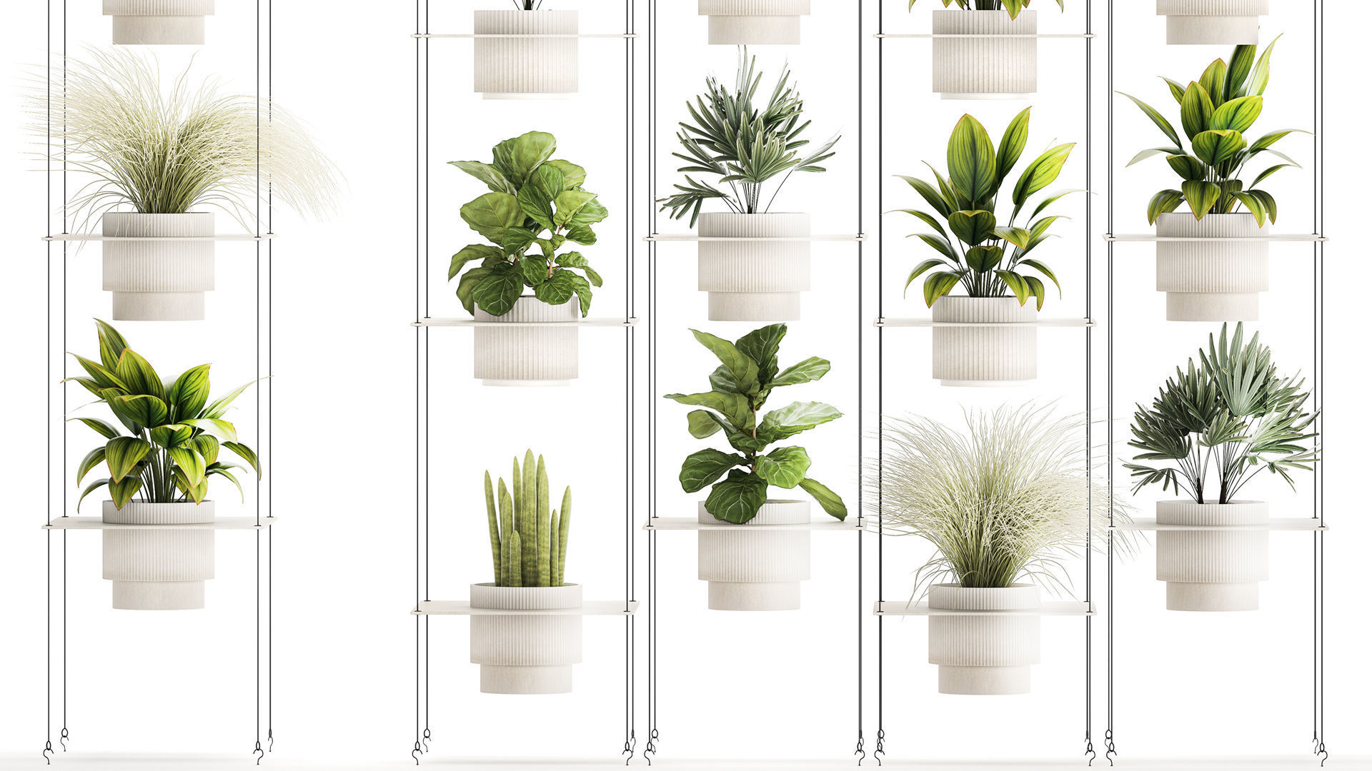 Hanging Shelf On Ropes Potted Plants Raphis Palm Ficus 1419 3D model_2