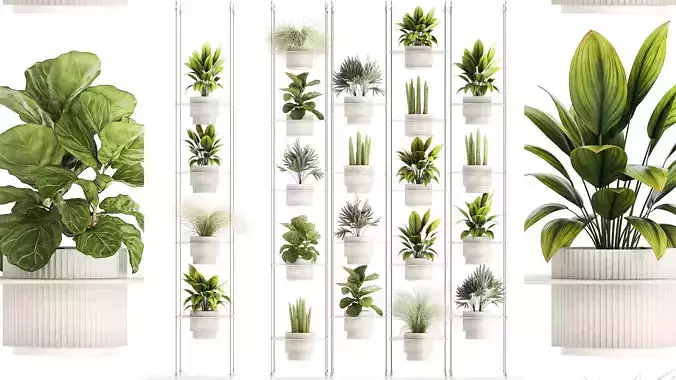 Hanging Shelf On Ropes Potted Plants Raphis Palm Ficus 1419 3D model