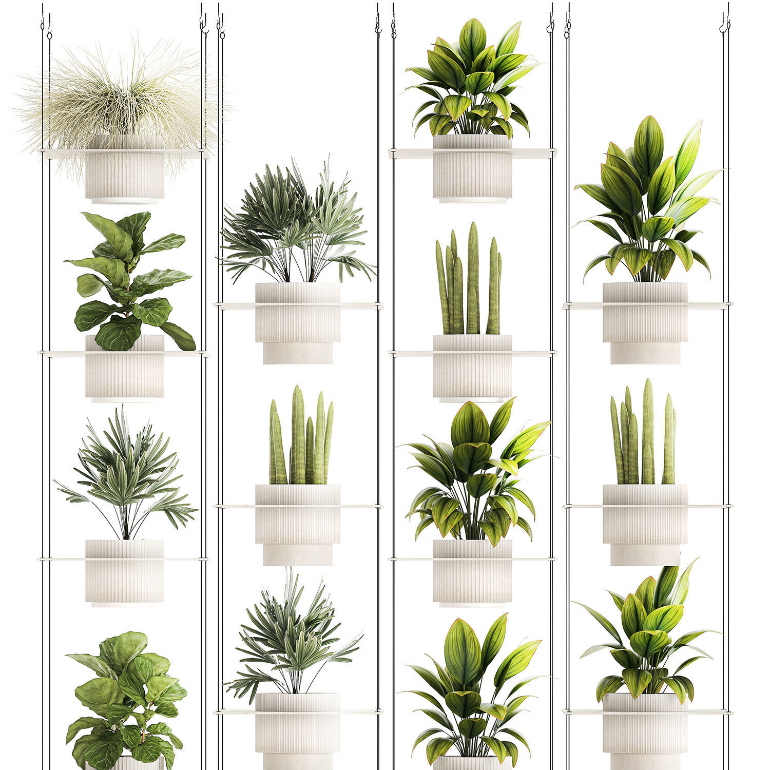 Hanging Shelf On Ropes Potted Plants Raphis Palm Ficus 1419 3D model_9