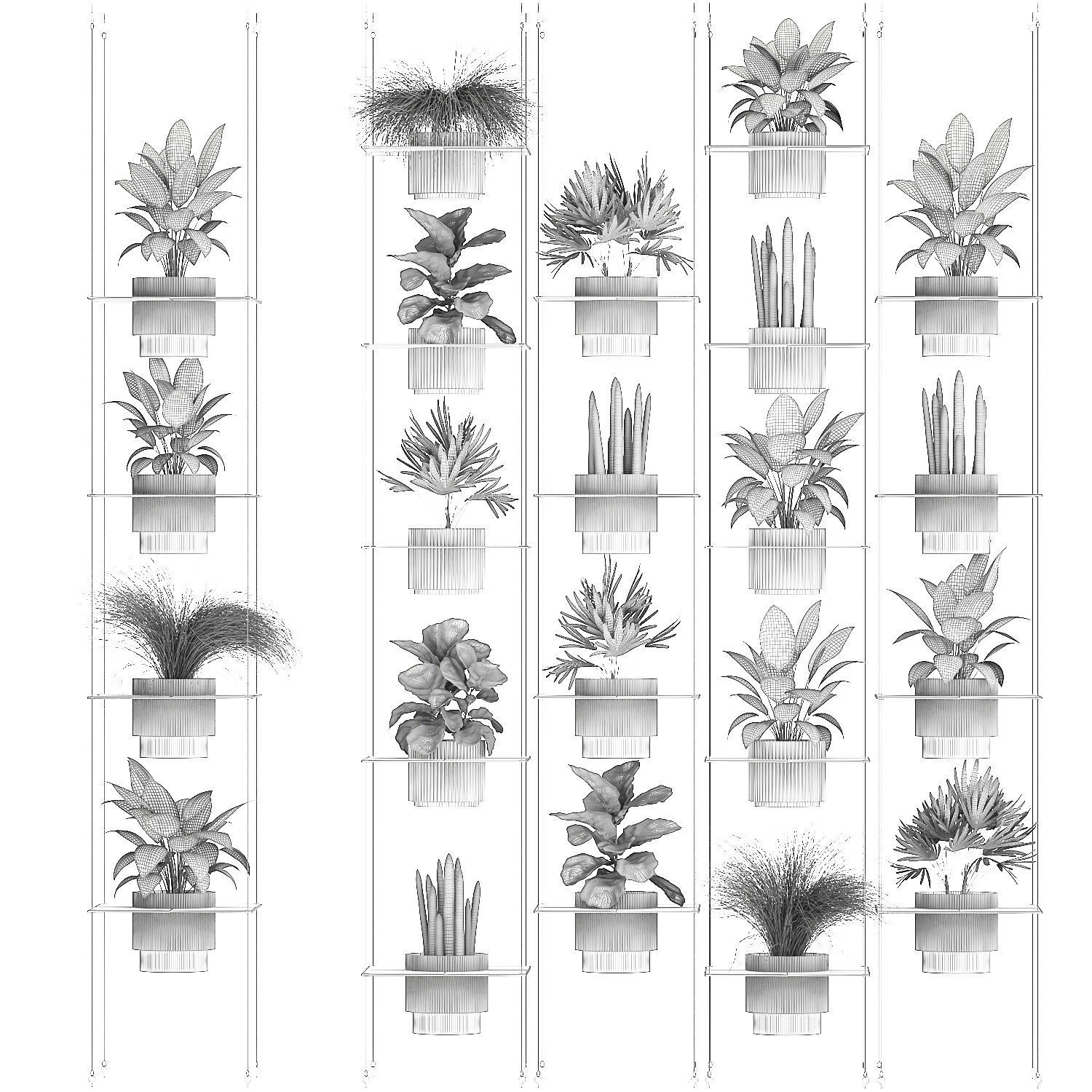 Hanging Shelf On Ropes Potted Plants Raphis Palm Ficus 1419 3D model_13