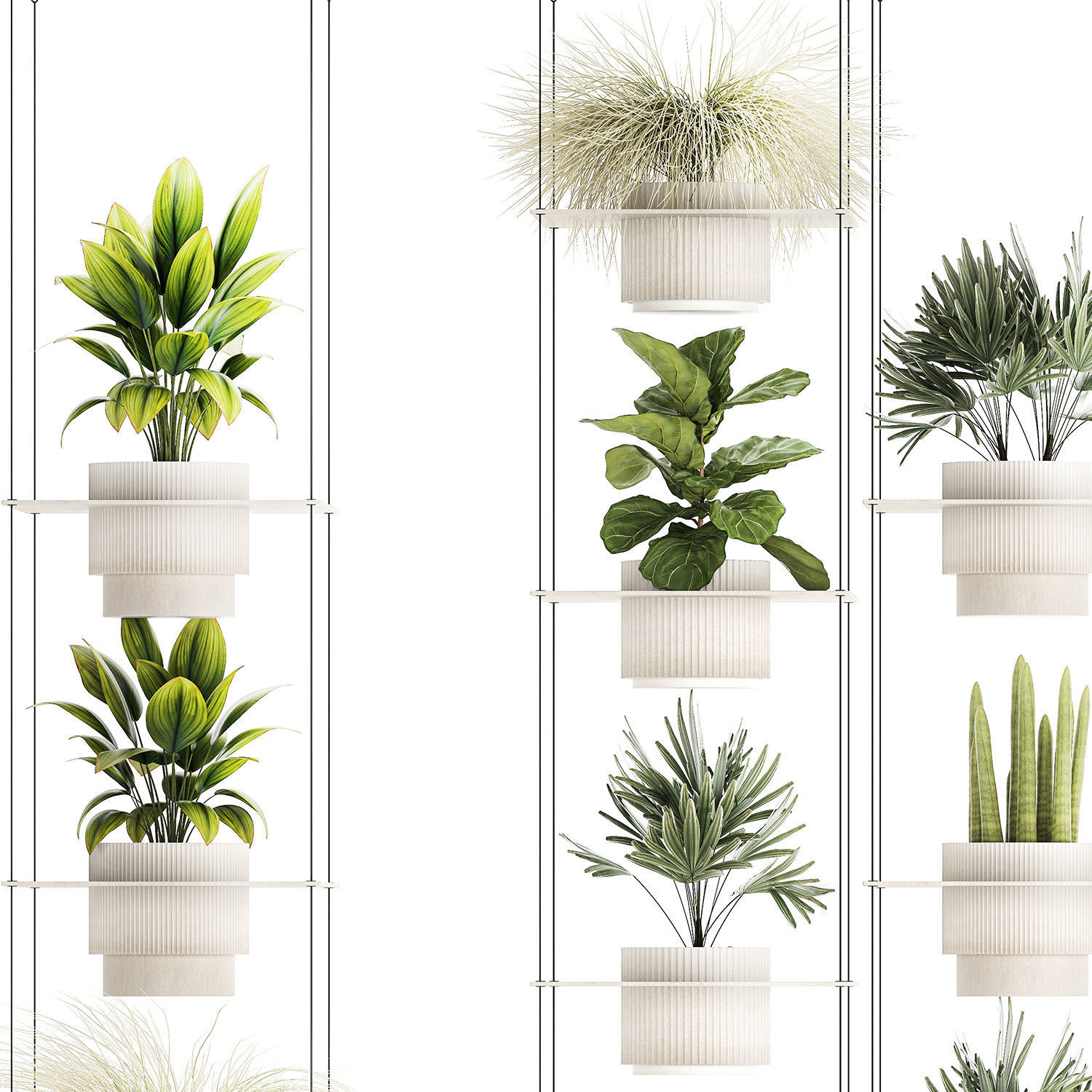 Hanging Shelf On Ropes Potted Plants Raphis Palm Ficus 1419 3D model_11