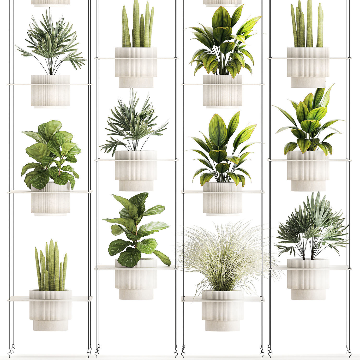 Hanging Shelf On Ropes Potted Plants Raphis Palm Ficus 1419 3D model_10