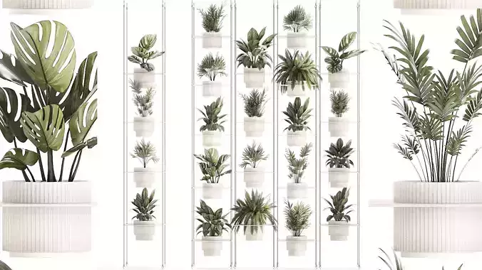 Hanging Shelf On Ropes Potted Plants Monstera Palm 1420