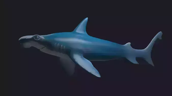 sea killers sea animals hammerhead hammer-head shark  3D model