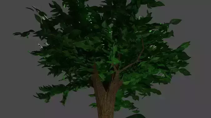 Tree type 2